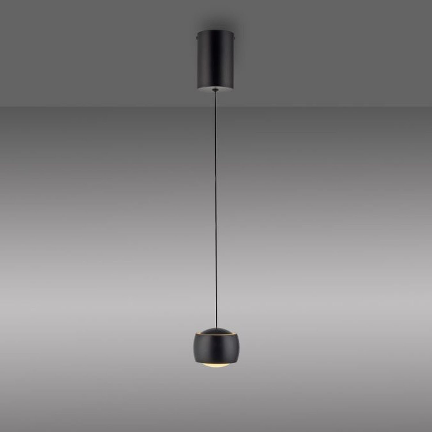 Suspension LED métal blanc chaud 3000 K 800 lm noir