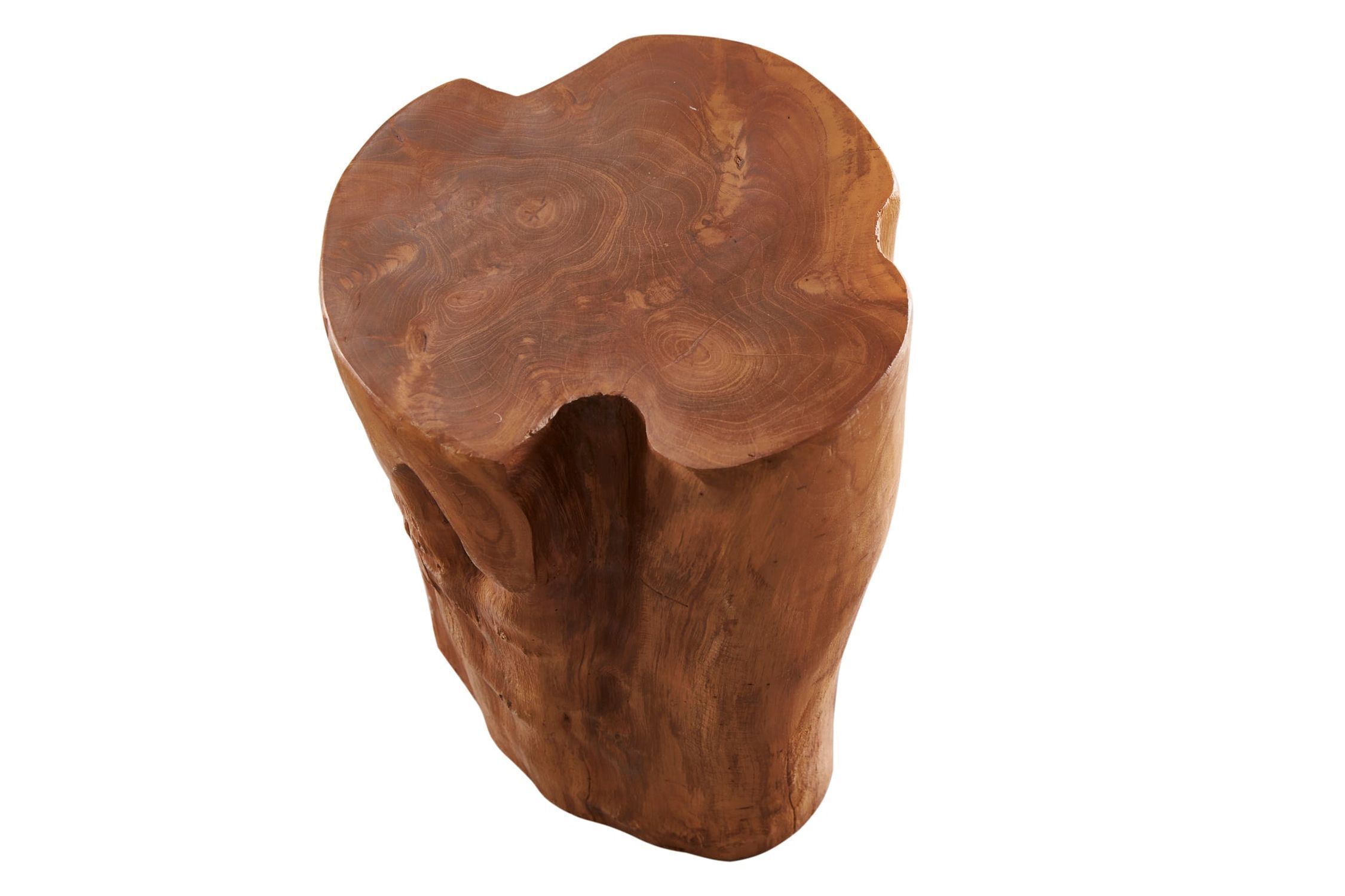 Pflanze, Baum, Holz, Krug, Töpferei