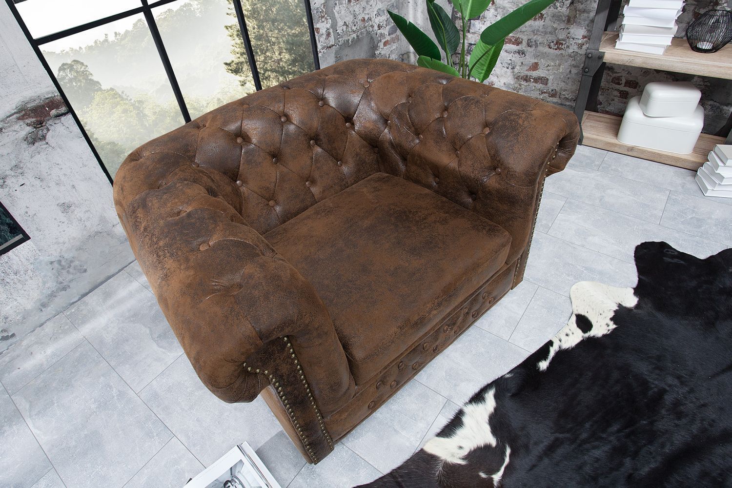 Moebel, Stuhl, Hund, Säugetier, Haustier