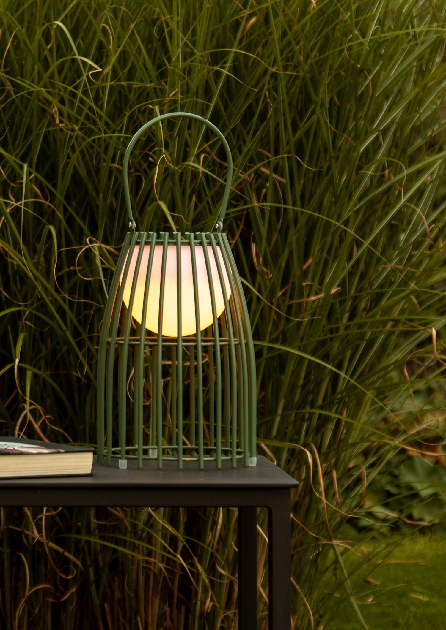 Lampe, Pflanze