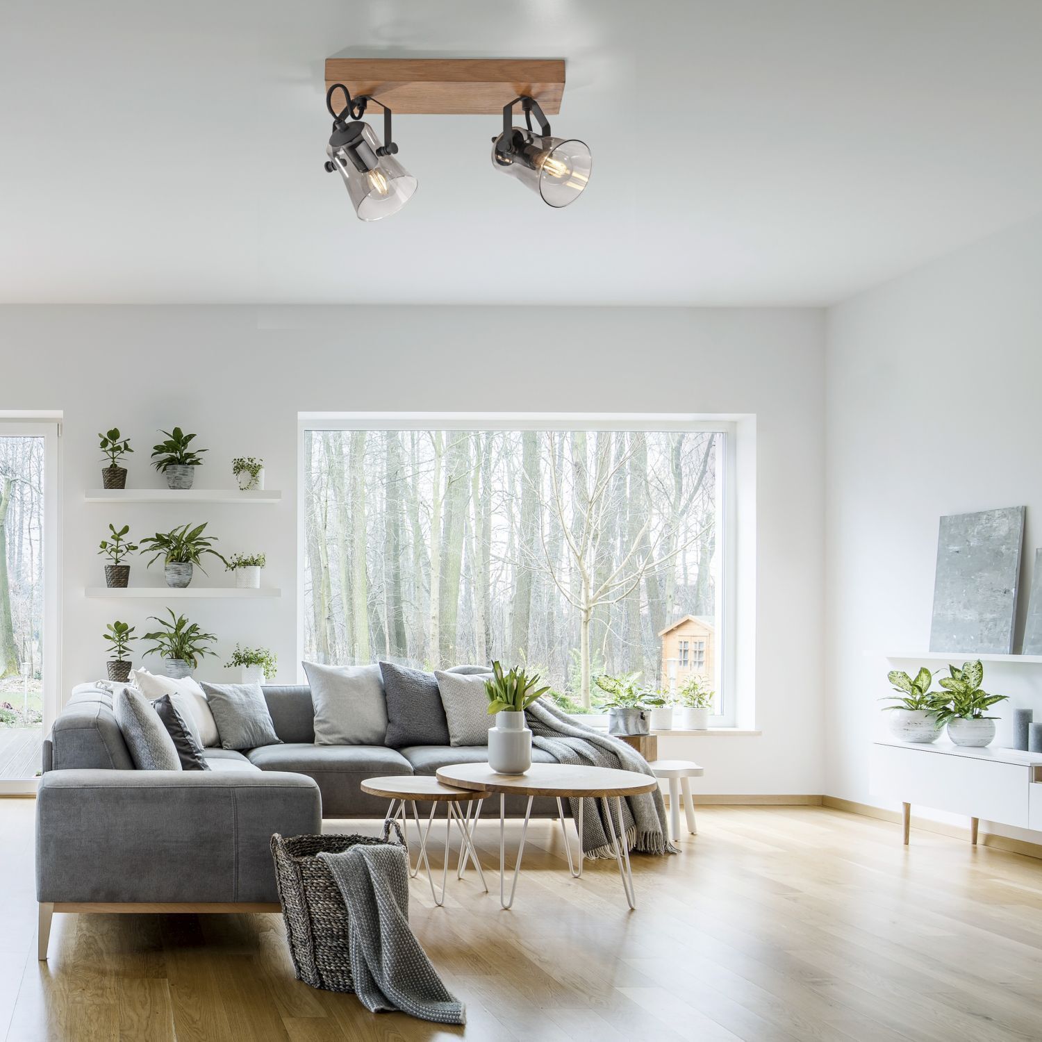 Dekoration für Zuhause, Pflanze