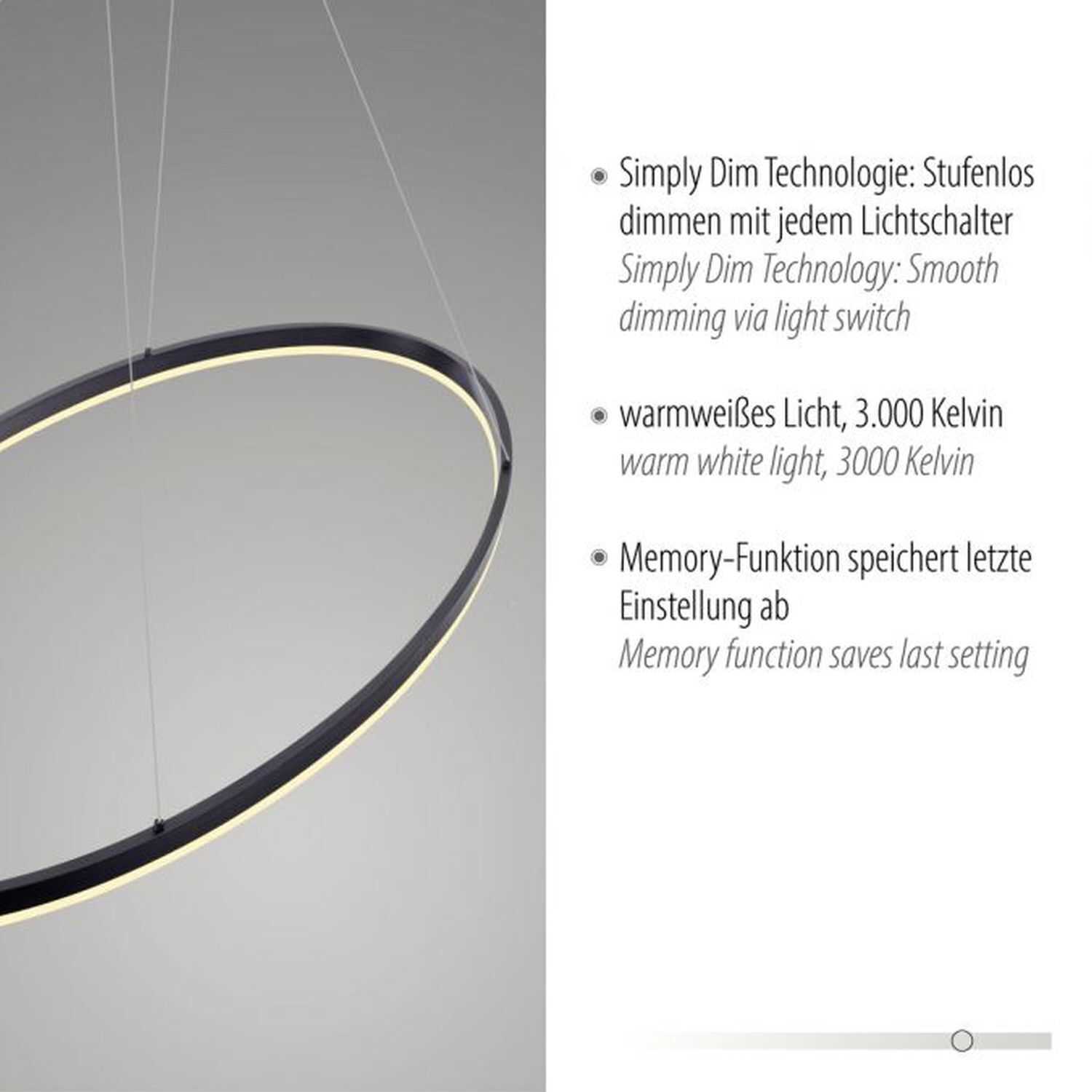 Suspension LED Anthracite ovale 3000 K 118 cm intensité lumineuse variable Reifen