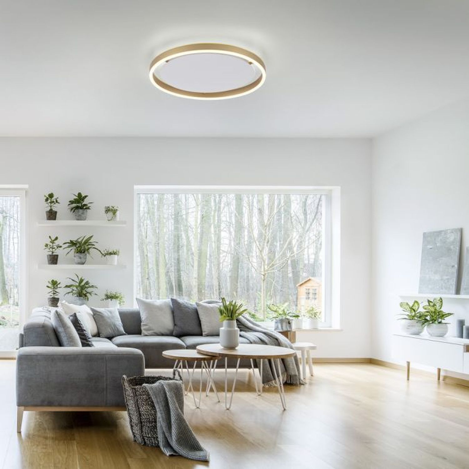 Dekoration für Zuhause, Pflanze, Couch, Mobiliar