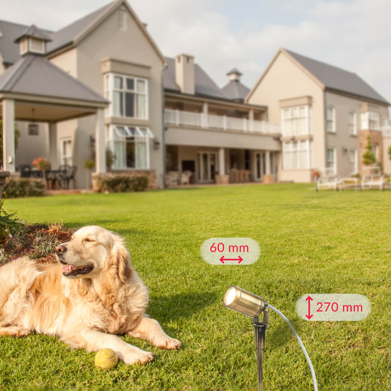 erdspiess-strahler-fassadenstrahler-aussen-spot-leuchte-messing-antik-8 Hund, Golden Retriever, im Außenbereich, Rasen, Bewässerungs-/Beleuchtungssystem