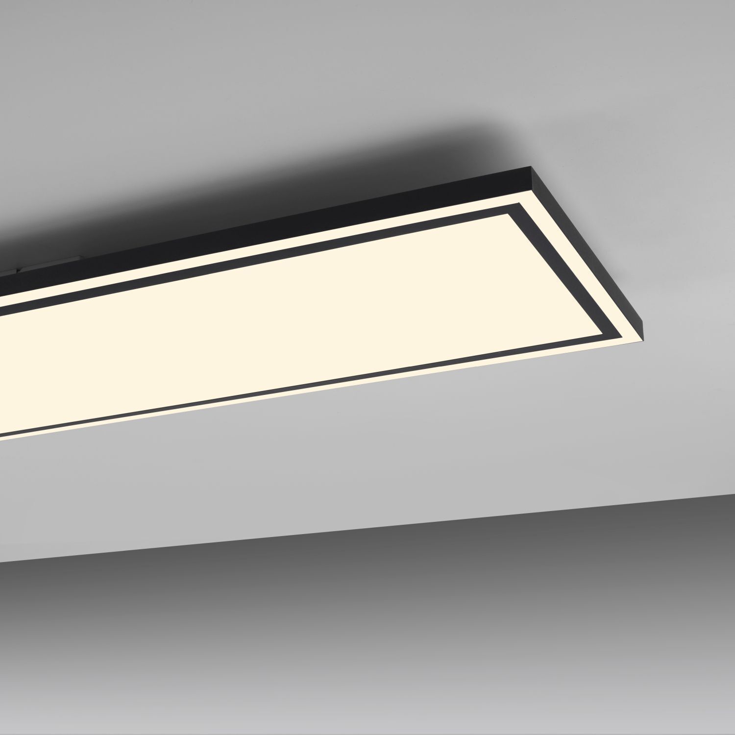 Deckenleuchte, Leuchte