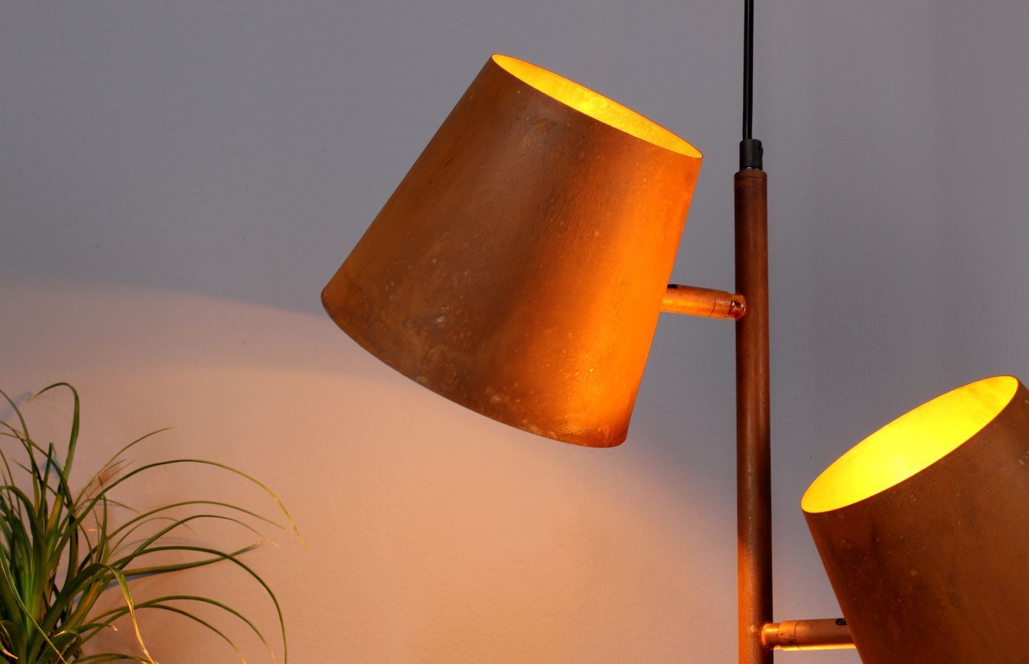 Lampe, Lampenschirm, Pflanze
