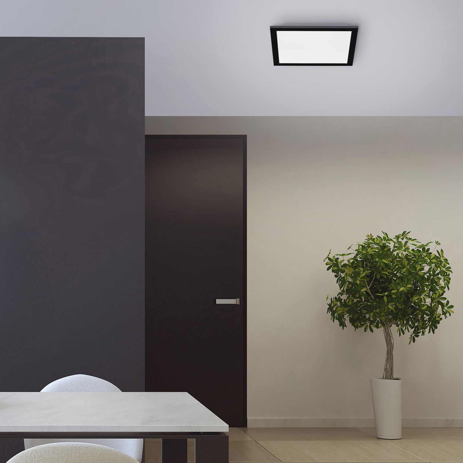 Pflanze, Pflanze im Topf, Drinnen, Innenarchitektur