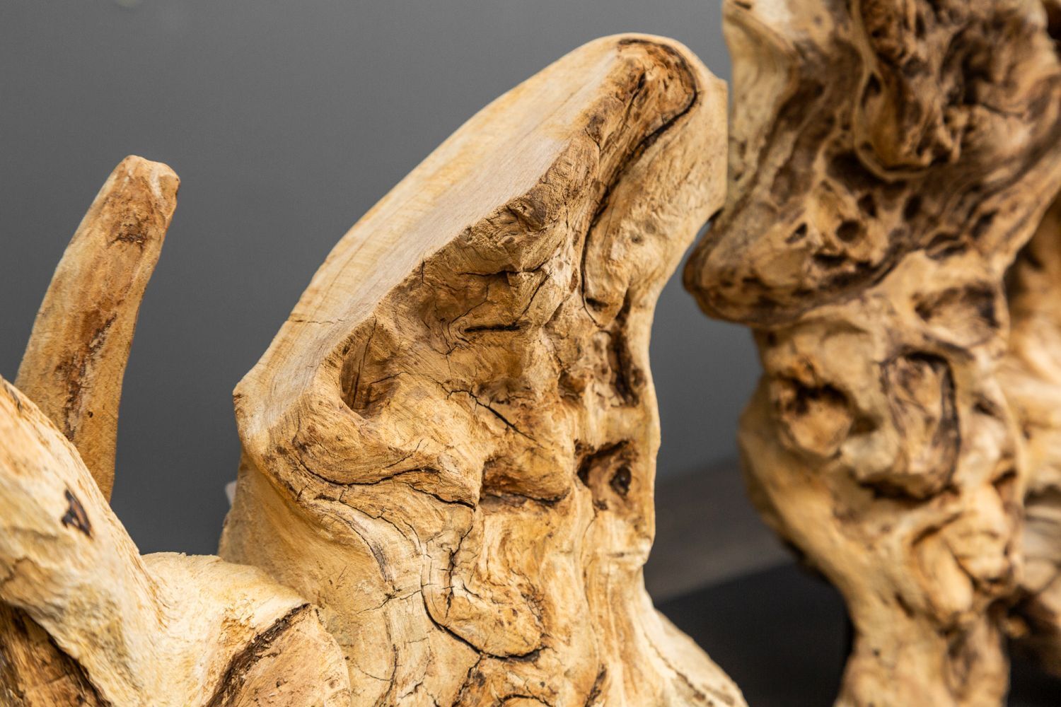 Treibholz Tischlampe PECIOS Modern Design Unikat Holz, Treibholz