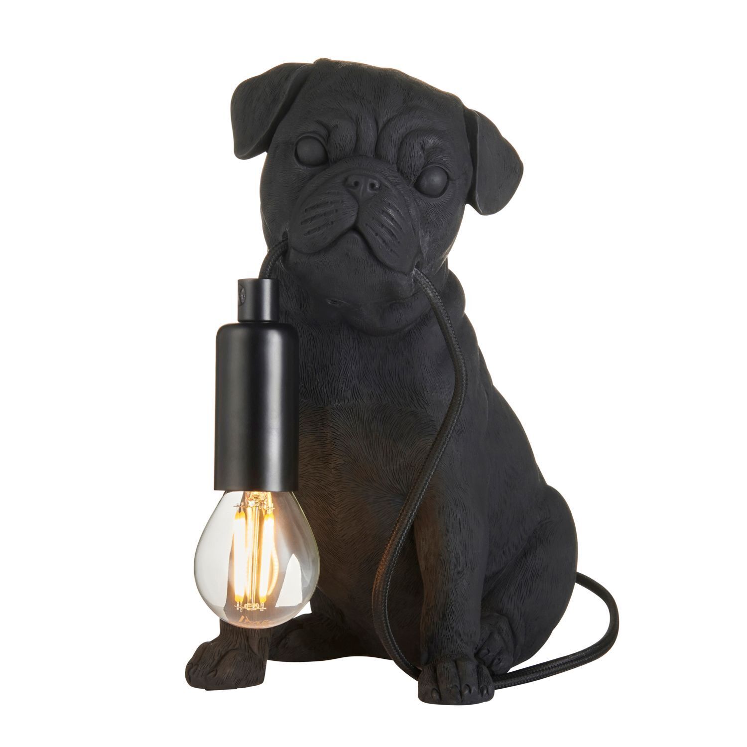 Licht, Hund, Säugetier, Haustier