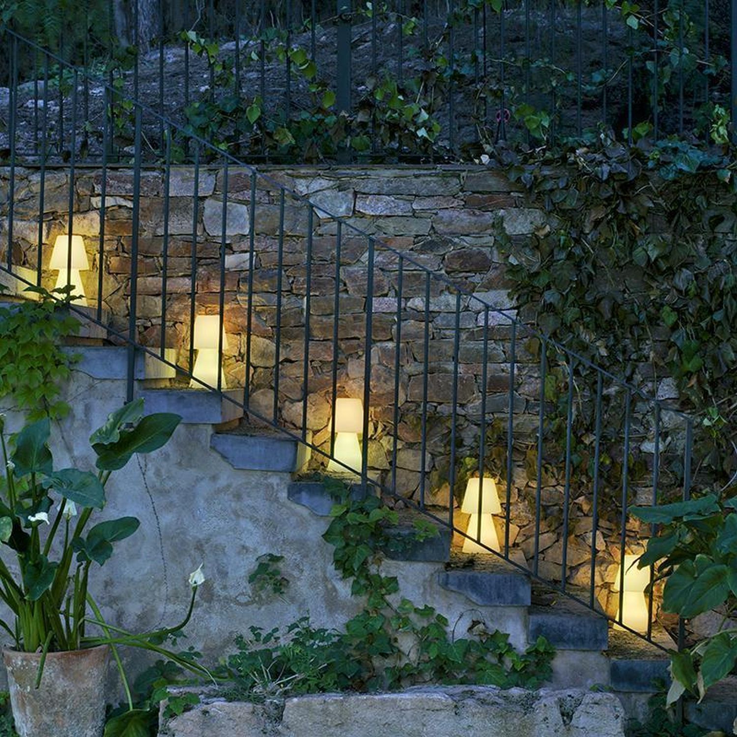 Hinterhof, Gehweg, Pflanze, Handlauf, Garten