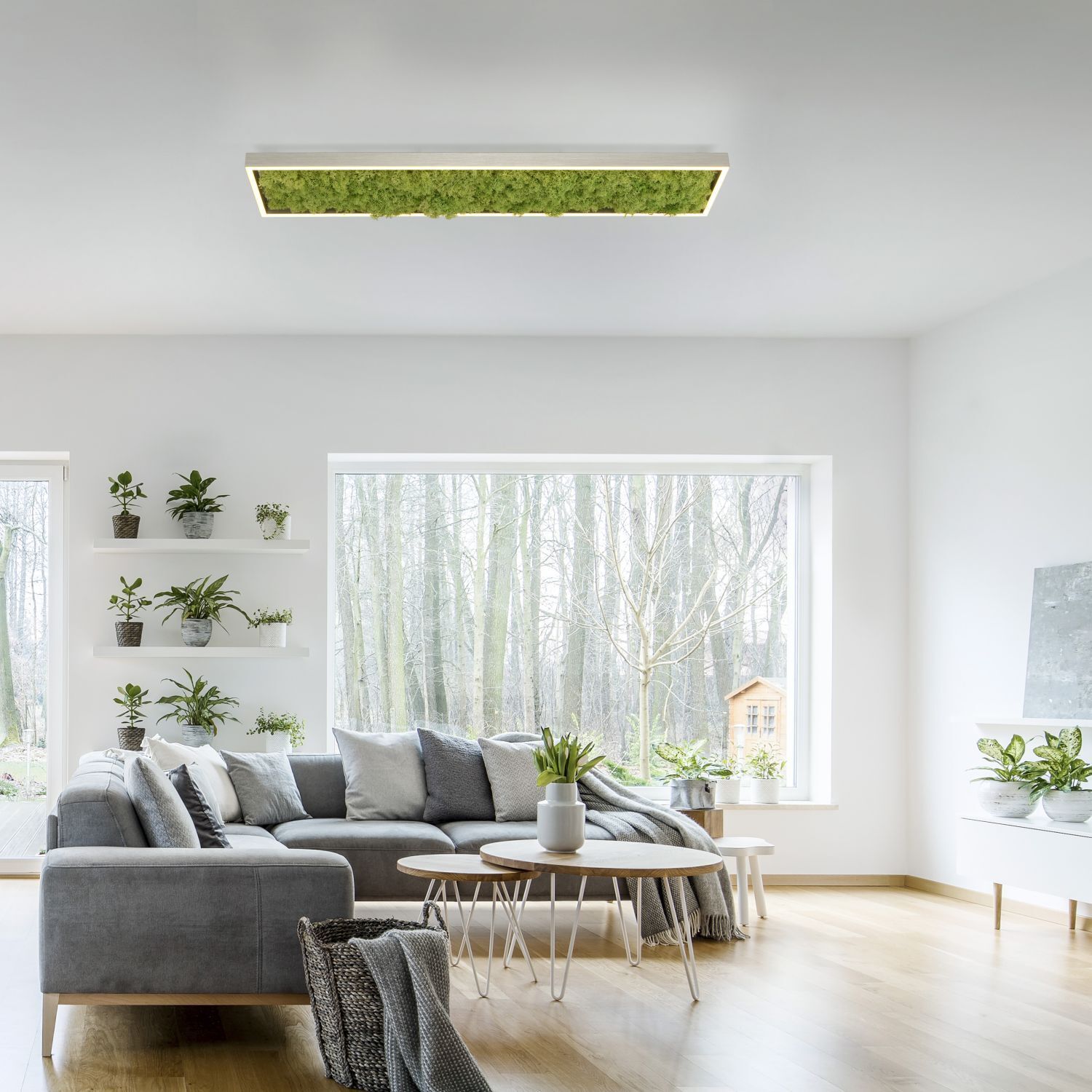 LED Deckenleuchte Moos L:100 cm 3000 K 3550 lm aus Moos Dekoration für Zuhause, Innenarchitektur, Couch, Wohnzimmer, Fenster
