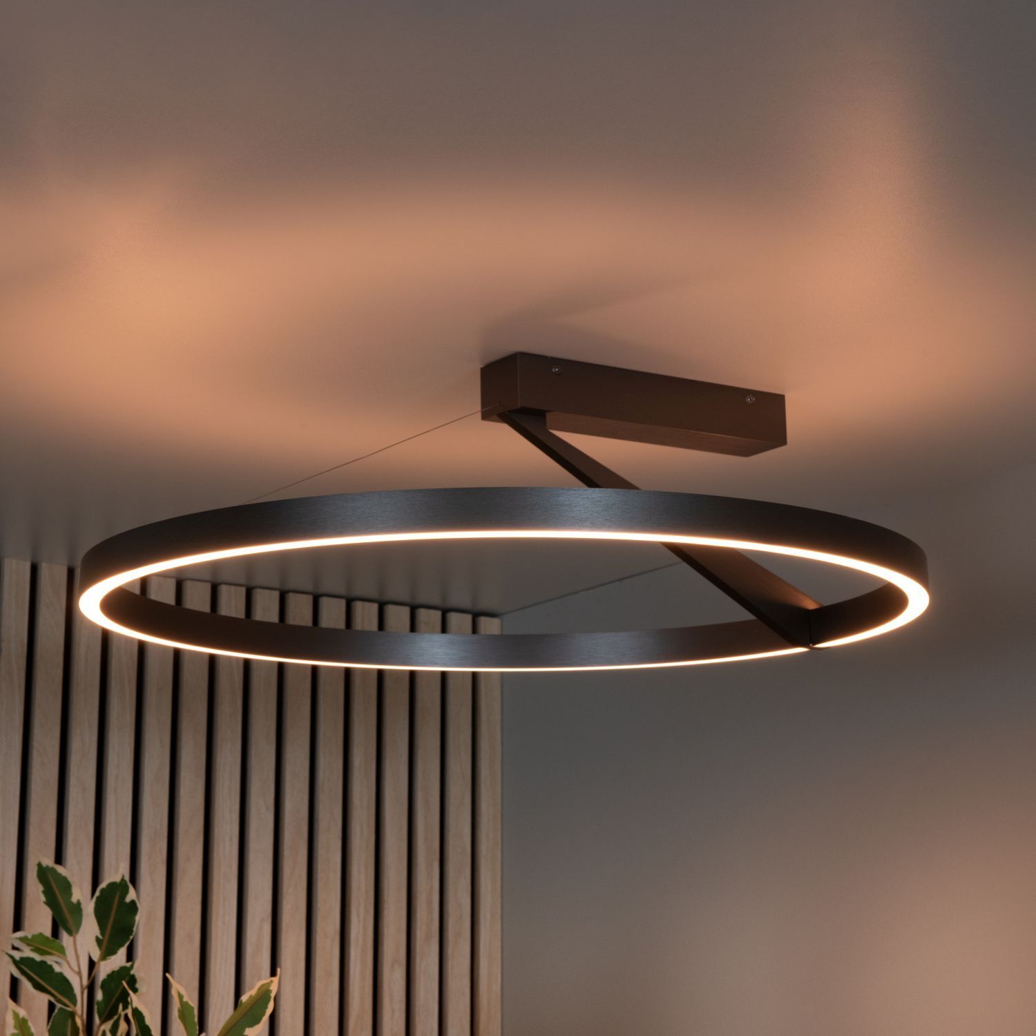 LED Deckenleuchte Fernbedienung 2200 K L:60 cm edel Ringlicht, hängende Lampe, LED-Licht, moderner Kronenring, dimmbares Licht