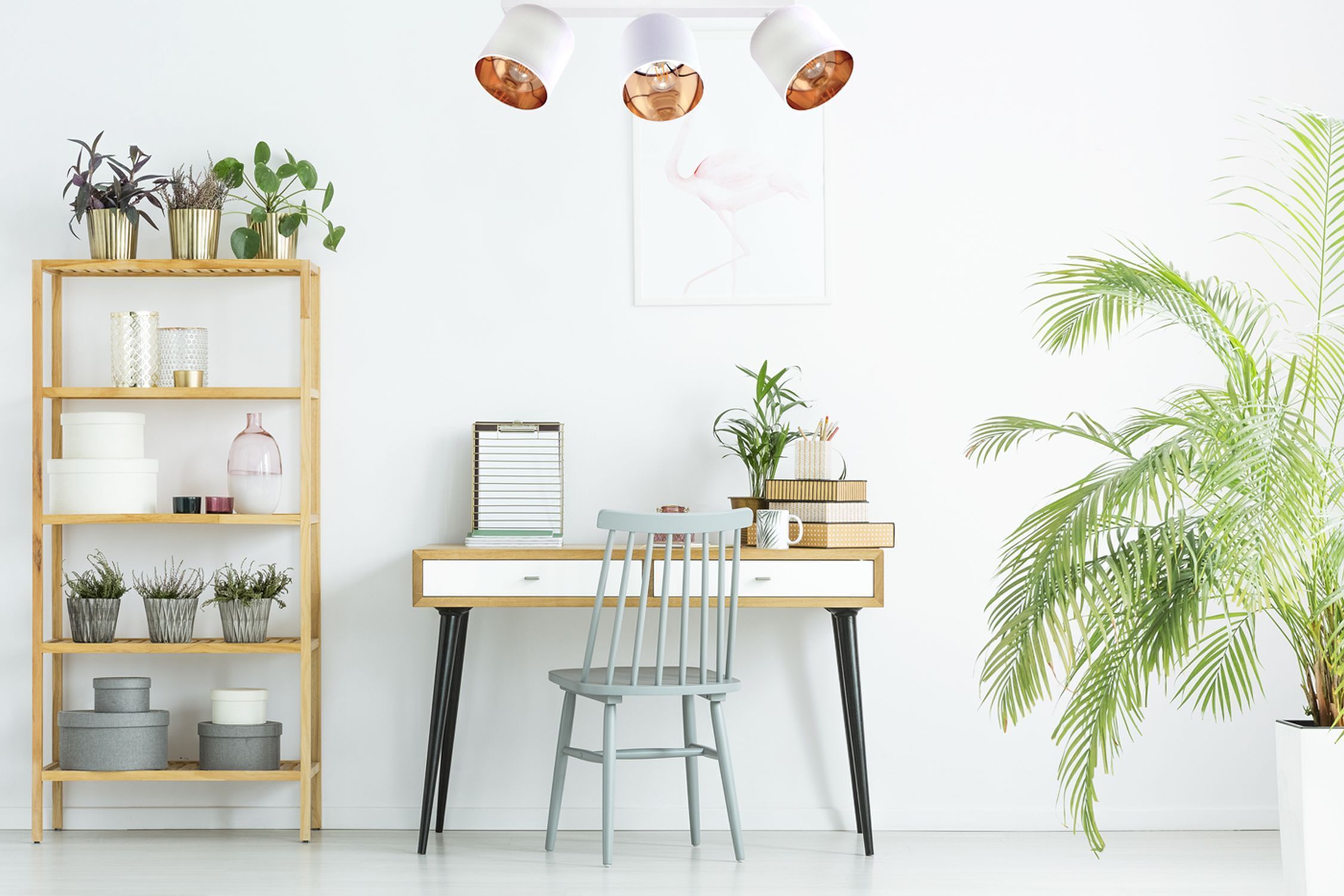 home office, schreibtisch, stuhl, pflanzen, regal