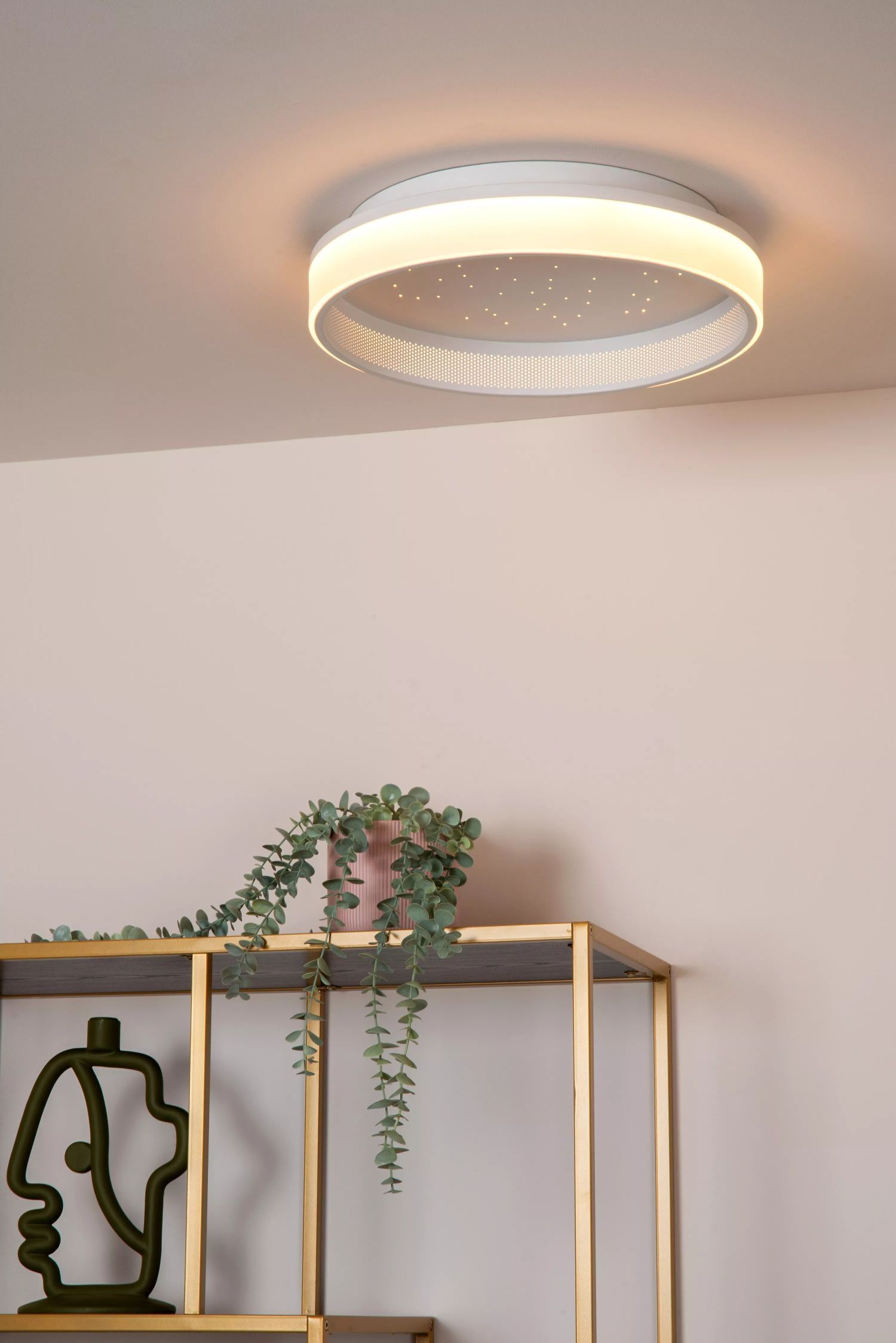 LED Deckenlampe Sternenhimmel 2500-3000 K Fernbedienung Deckenleuchte, Pflanze