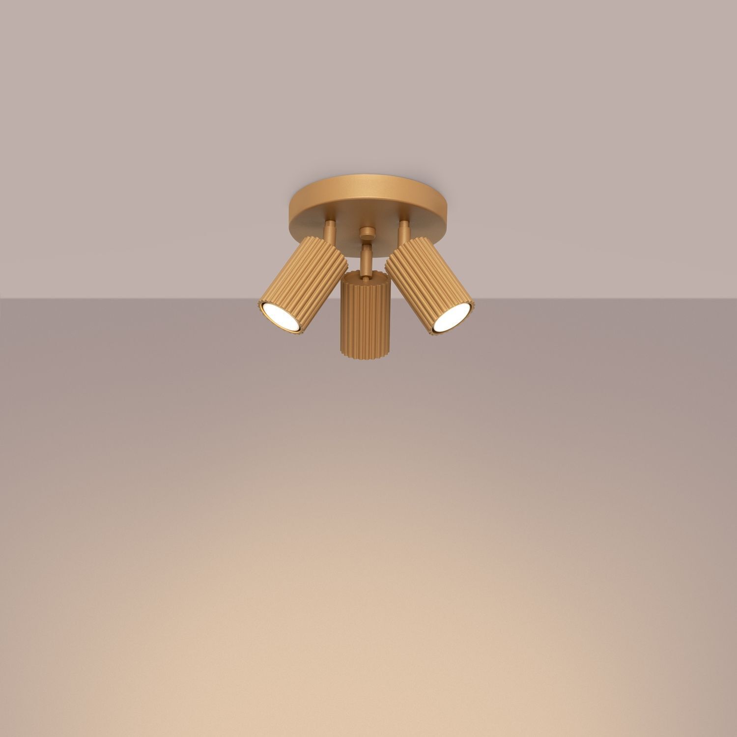 Deckenleuchte, Leuchte