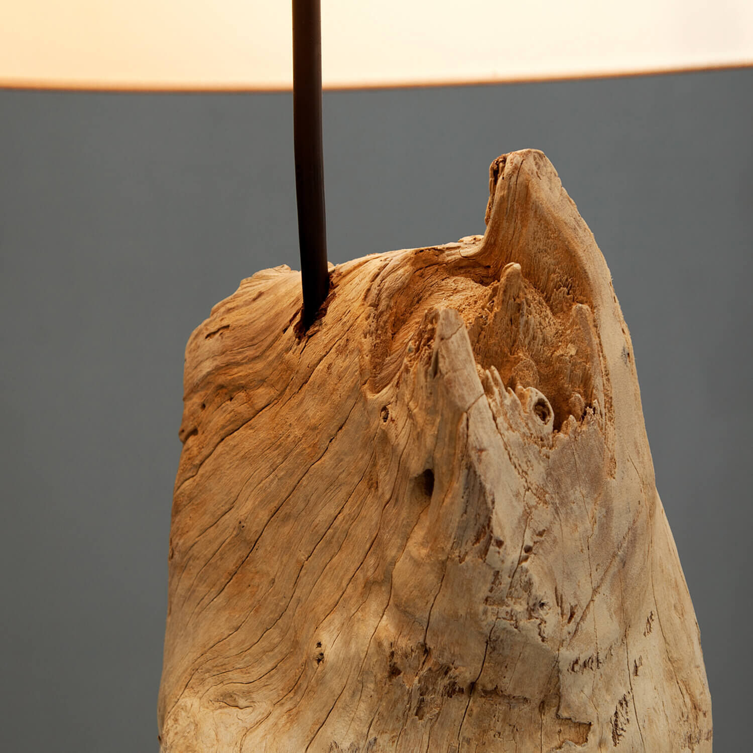 Stehlampe 175cm Modern individuell Treibholz Holz, Pflanze, Baum, Lampe, Treibholz