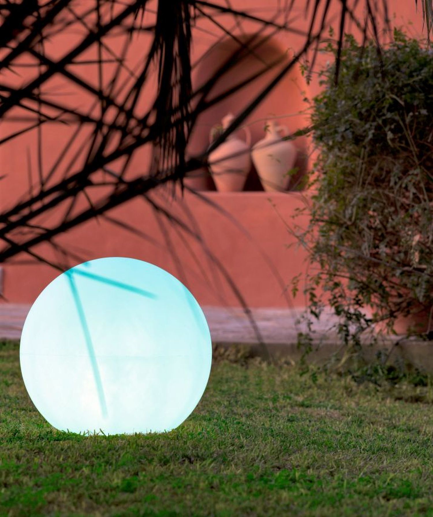 Sphäre, Gras, Pflanze, Pflanze im Topf