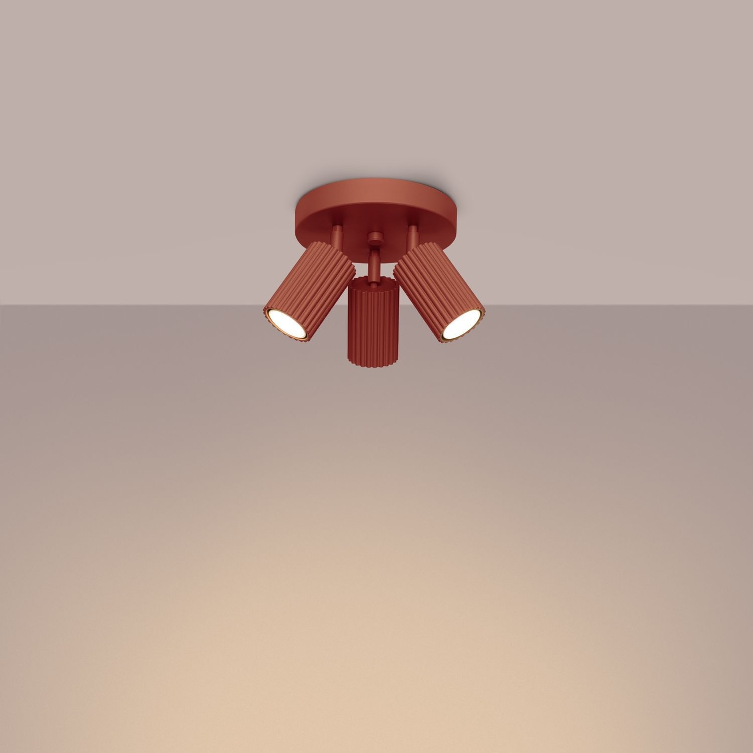 Deckenleuchte, Leuchte