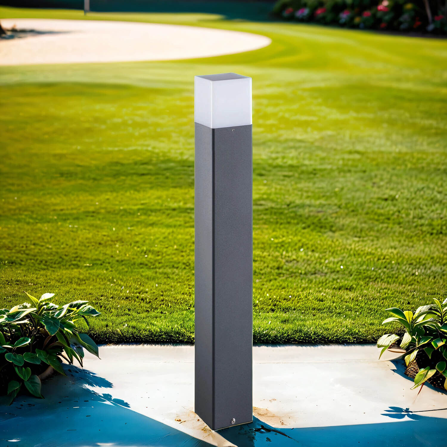 Gras, Pflanze, Springbrunnen, Wasser, Rasen