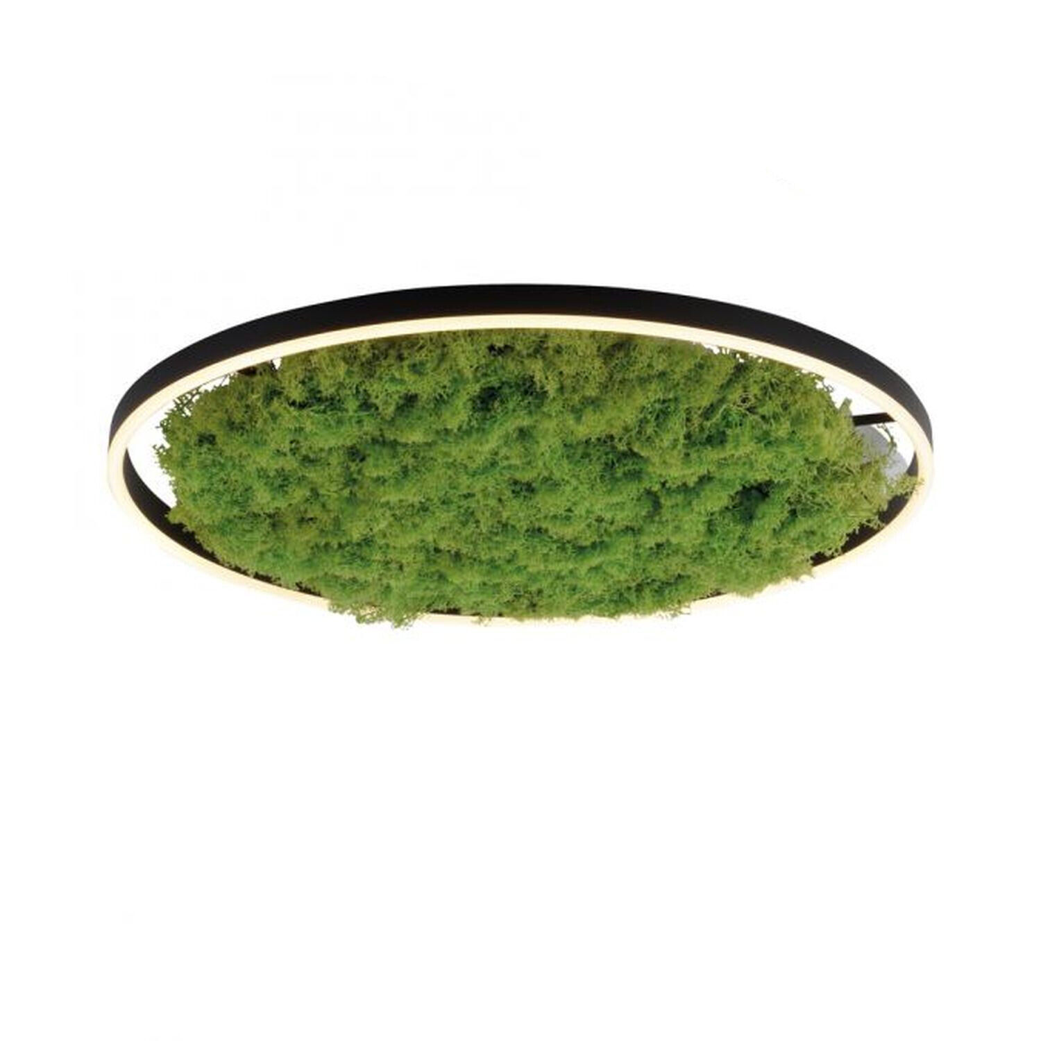 Dimmbare LED Deckenlampe Moos Schwarz 3000 K 28 W Moos, Land, Bewuchs, Baum, Wald