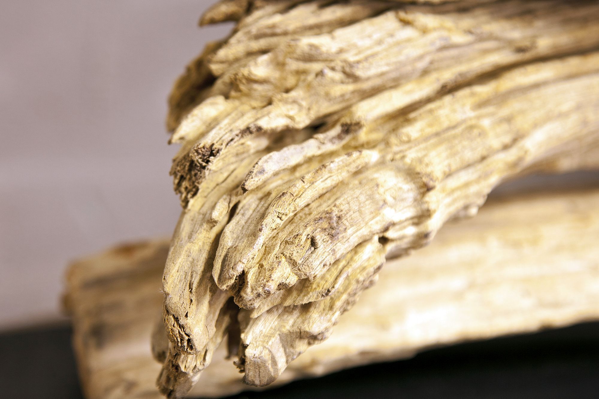 Individuelle Tischlampe 50cmx80cm Treibholz Holz, Treibholz