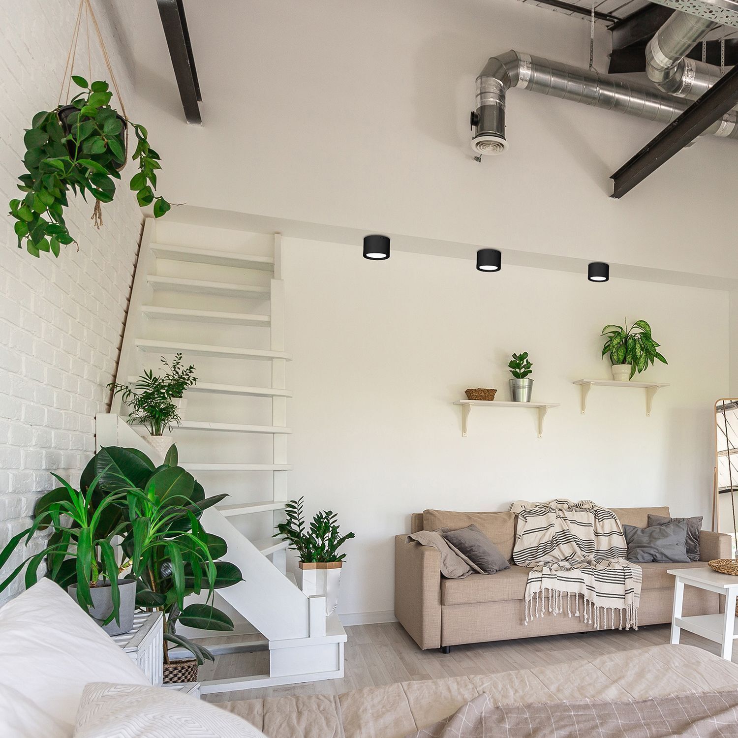 LED Deckenstrahler Schwarz Metall Ø5,8 cm 4000 K 450 lm Pflanze, Pflanze im Topf, Dekoration für Ihr Zuhause, Wohnzimmer, Innenarchitektur