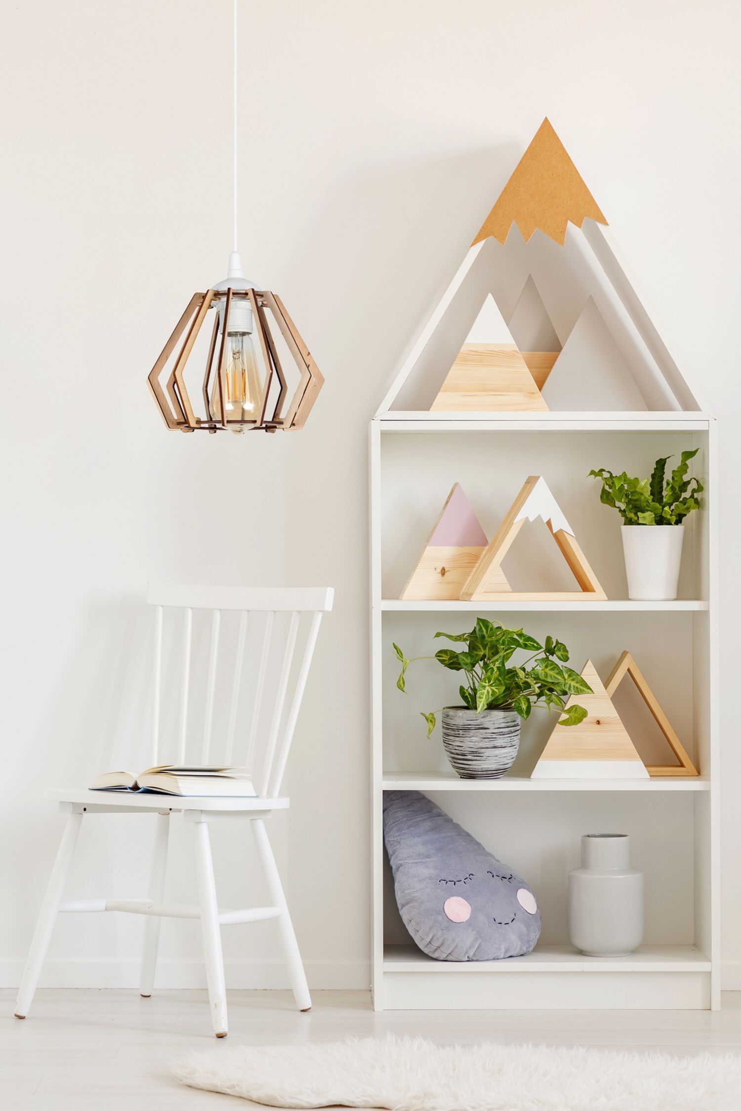 Pflanze, Mobiliar, Innenarchitektur, Bücherschrank, Holz