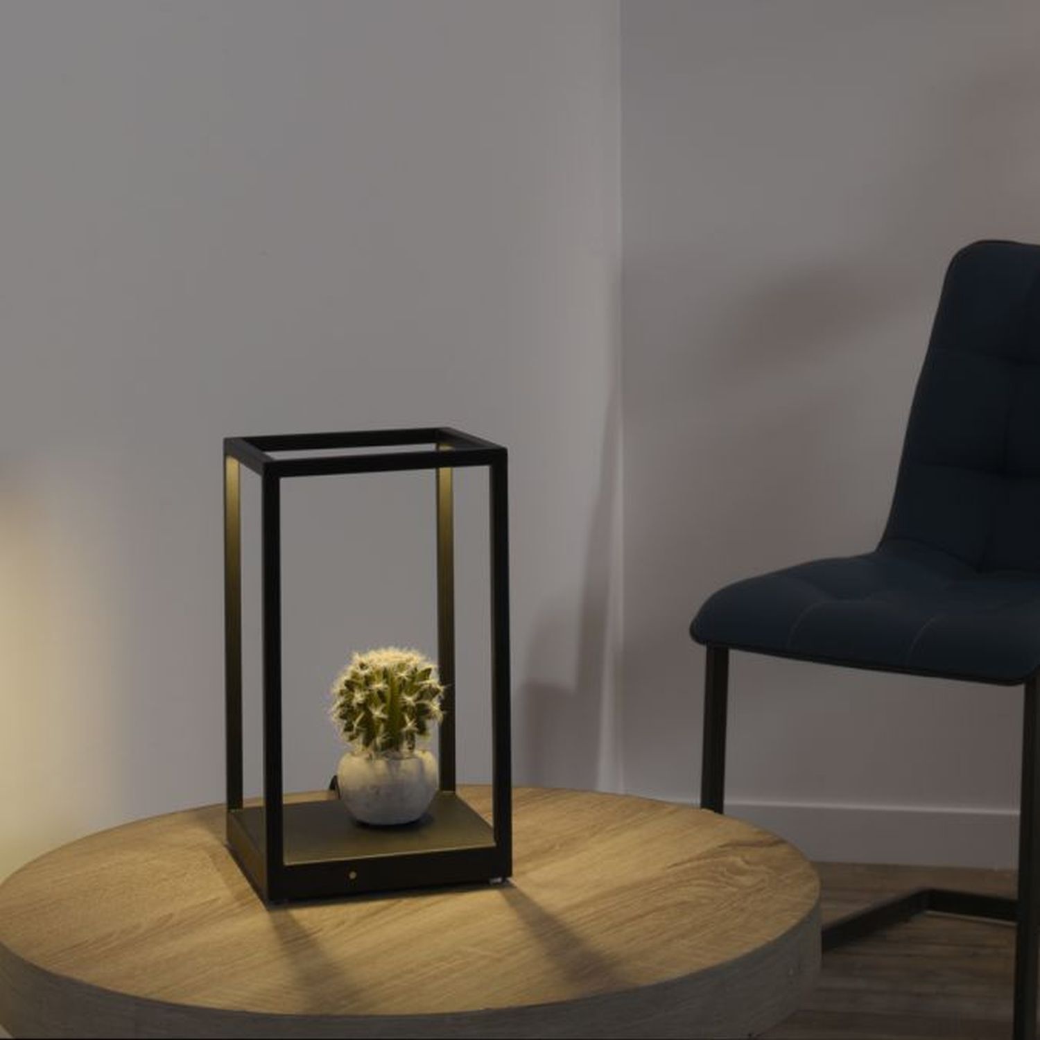 Lampe, Pflanze, Stuhl, Mobiliar