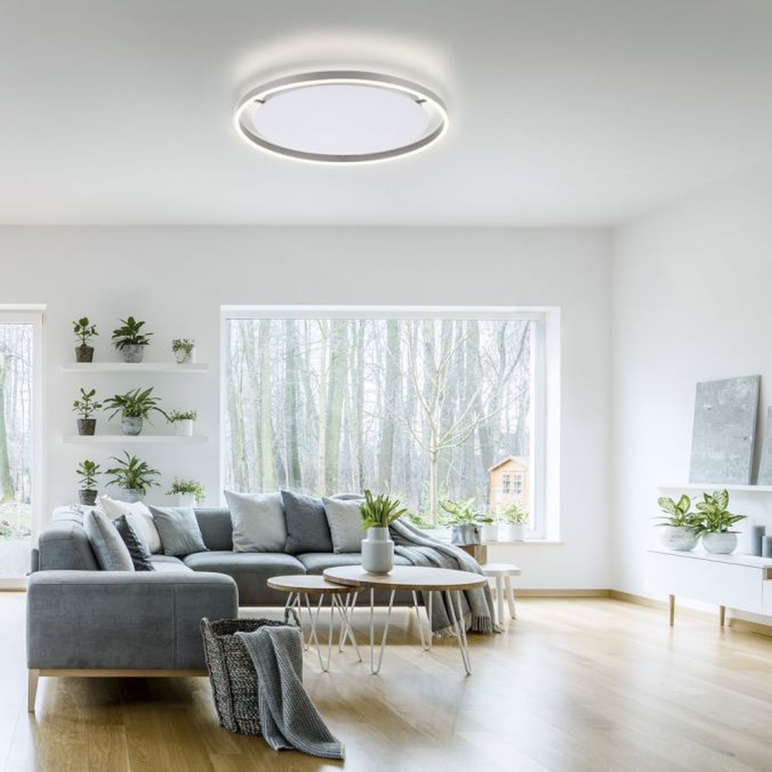 Dekoration für Zuhause, Pflanze, Couch, Mobiliar