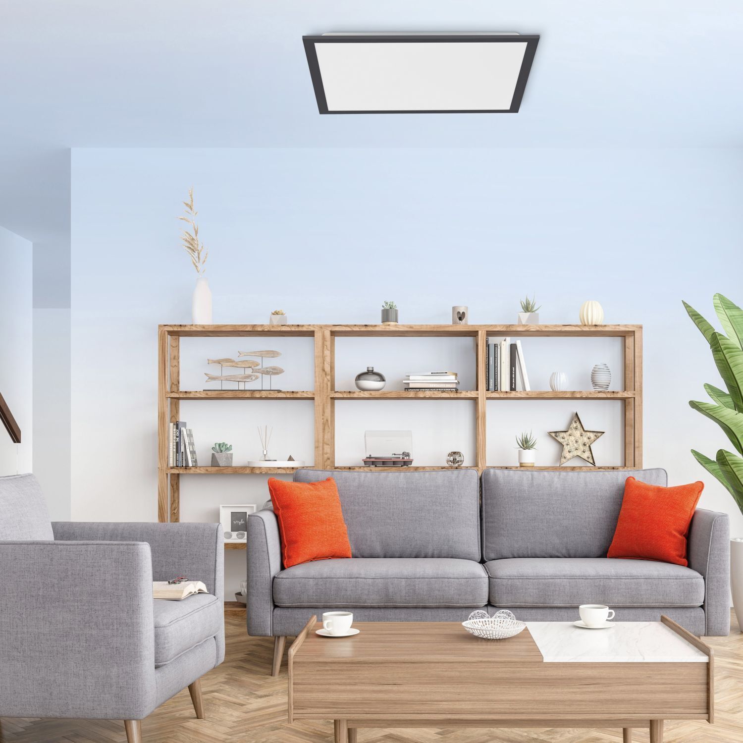 Dekoration für Zuhause, Mobiliar, Wohnzimmer, Kissen, Pflanze