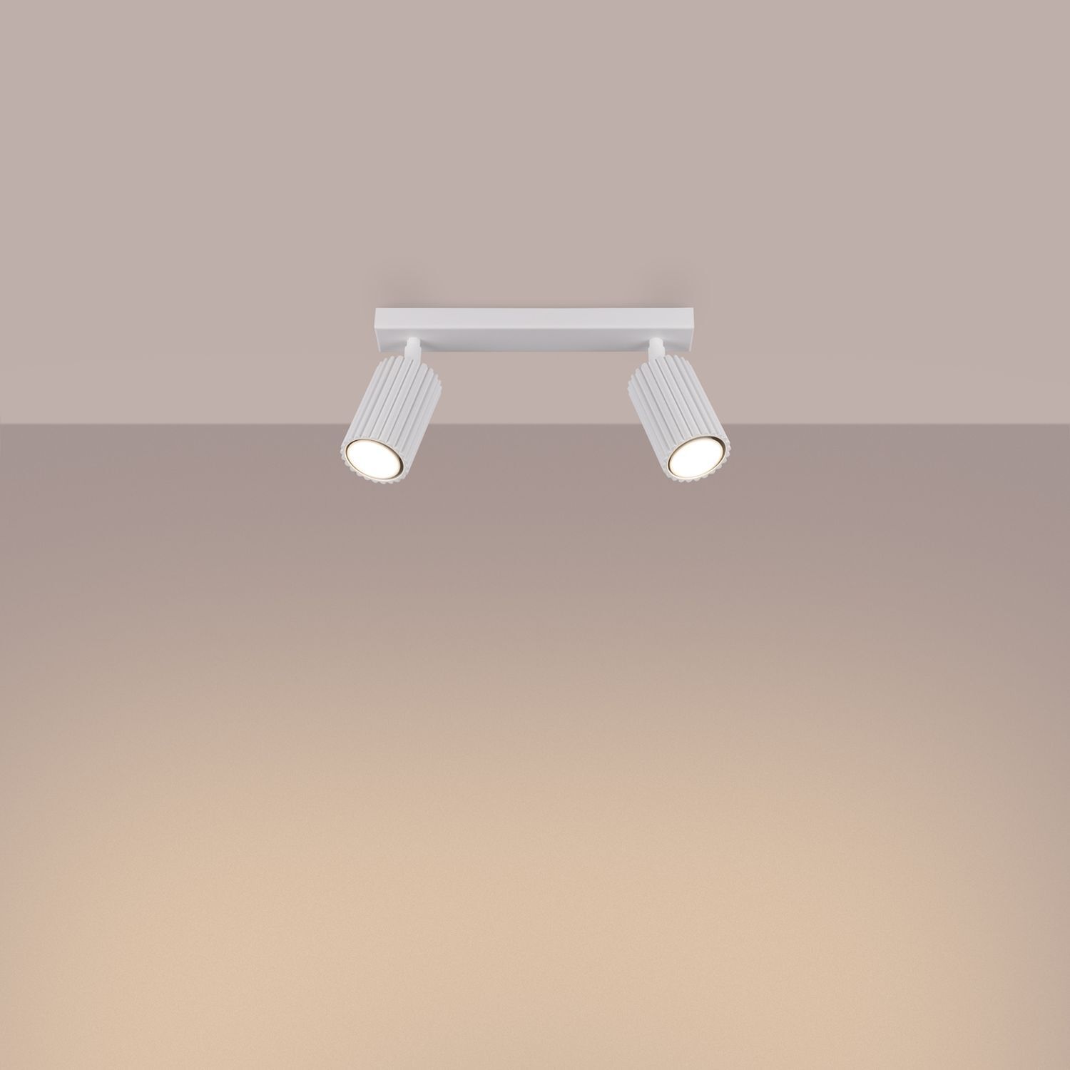Deckenstrahler Weiß GU10 2-flammig B: 30 cm klein Modern