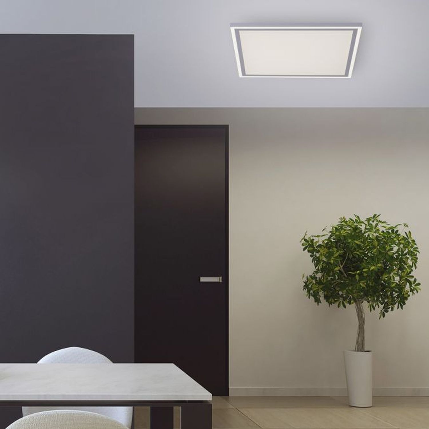 Pflanze, Pflanze im Topf, Drinnen, Innenarchitektur, Deckenleuchte