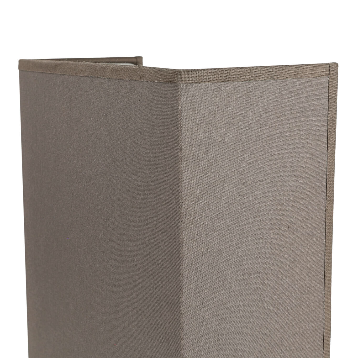 Buch, Veröffentlichung