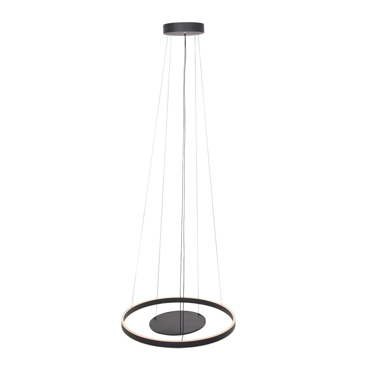 LED Hängelampe Schwarz Ø60 cm rund 2700 K Ring Platte