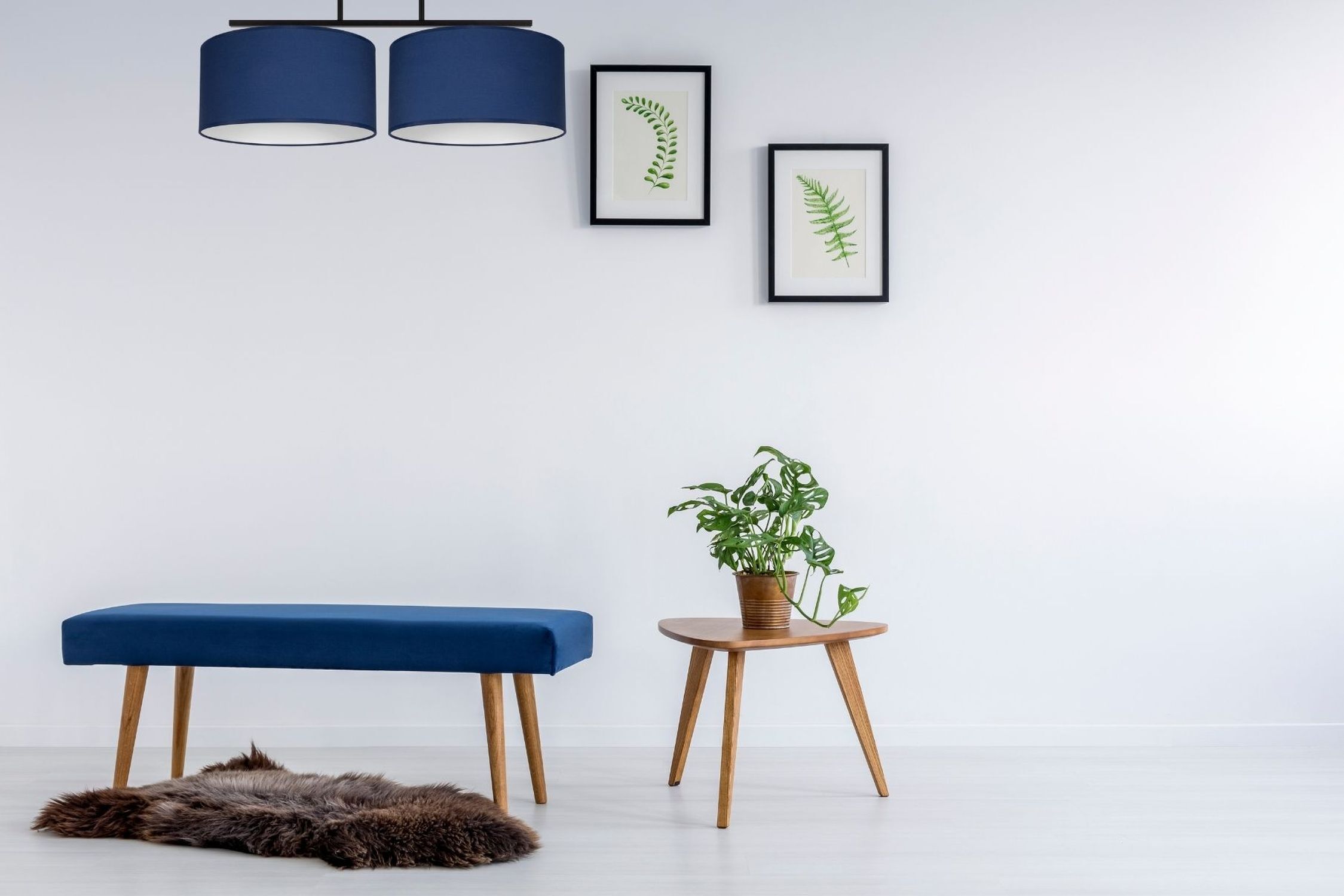 stuhl, bank, blau, pflanze, pflanzen