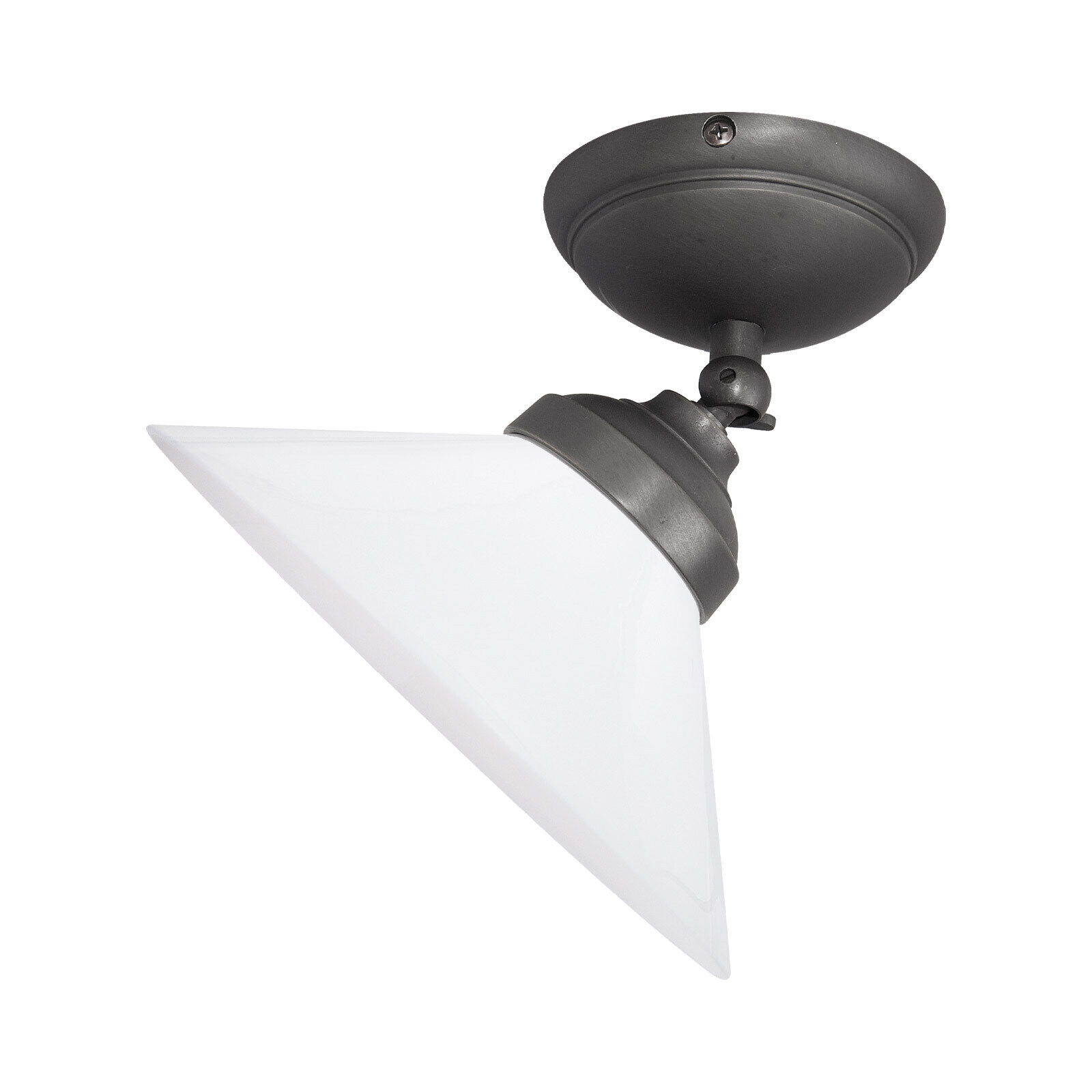 Spot de plafond orientable Ø 24,5 cm verre laiton E27