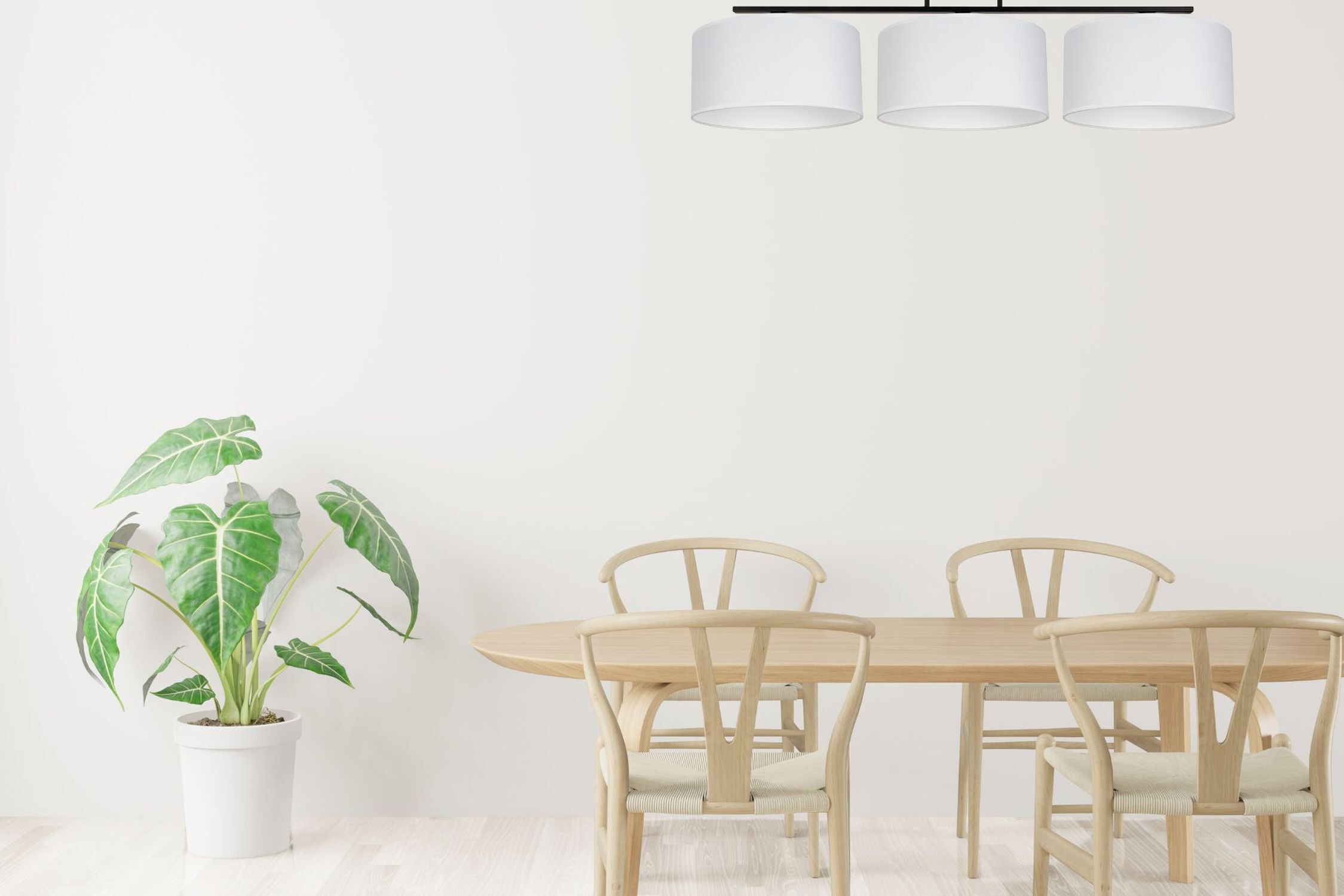 Esstisch, Tisch, Esszimmer, Pflanze, Pflanze im Topf