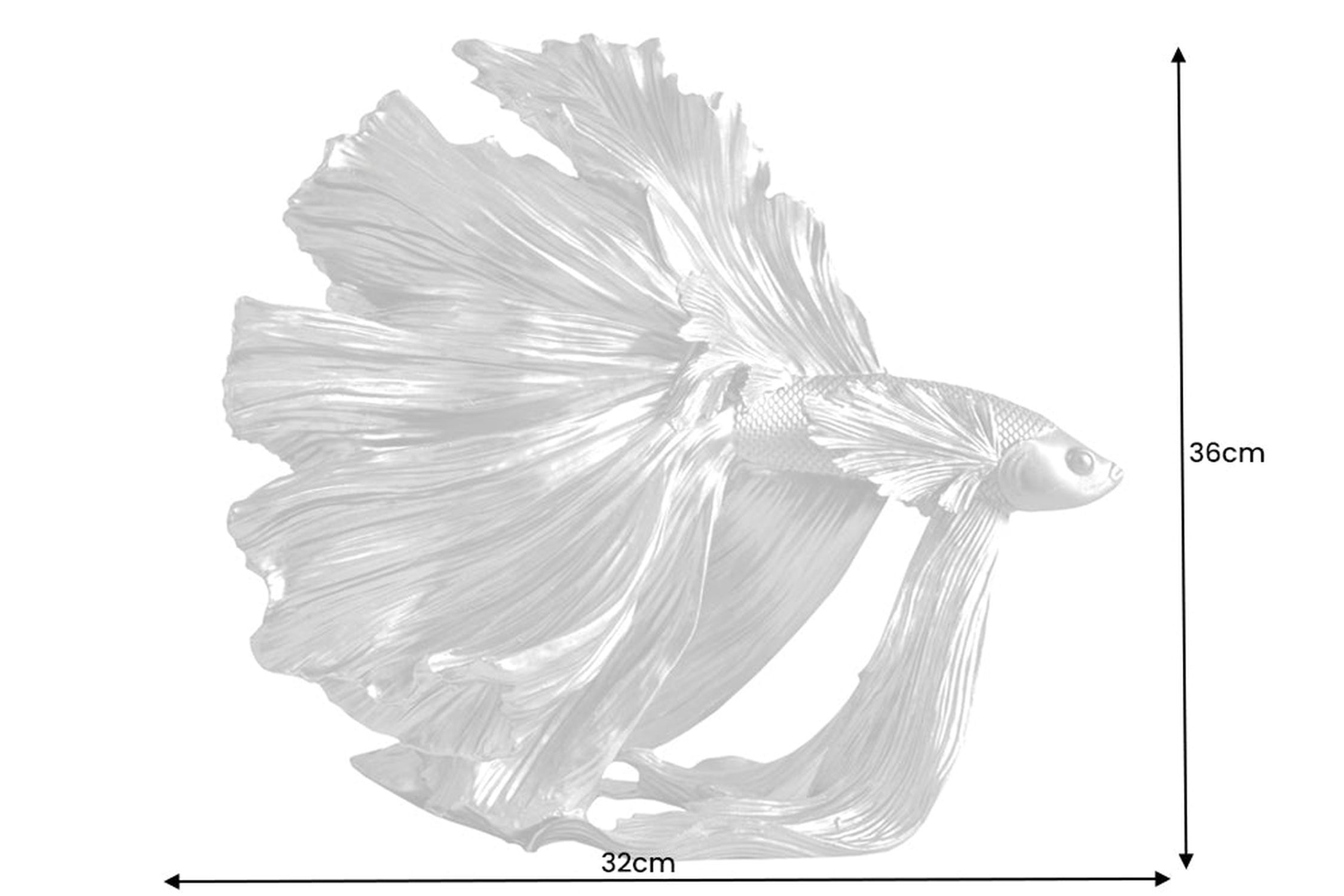 Tier, Fische, Leben im Meer