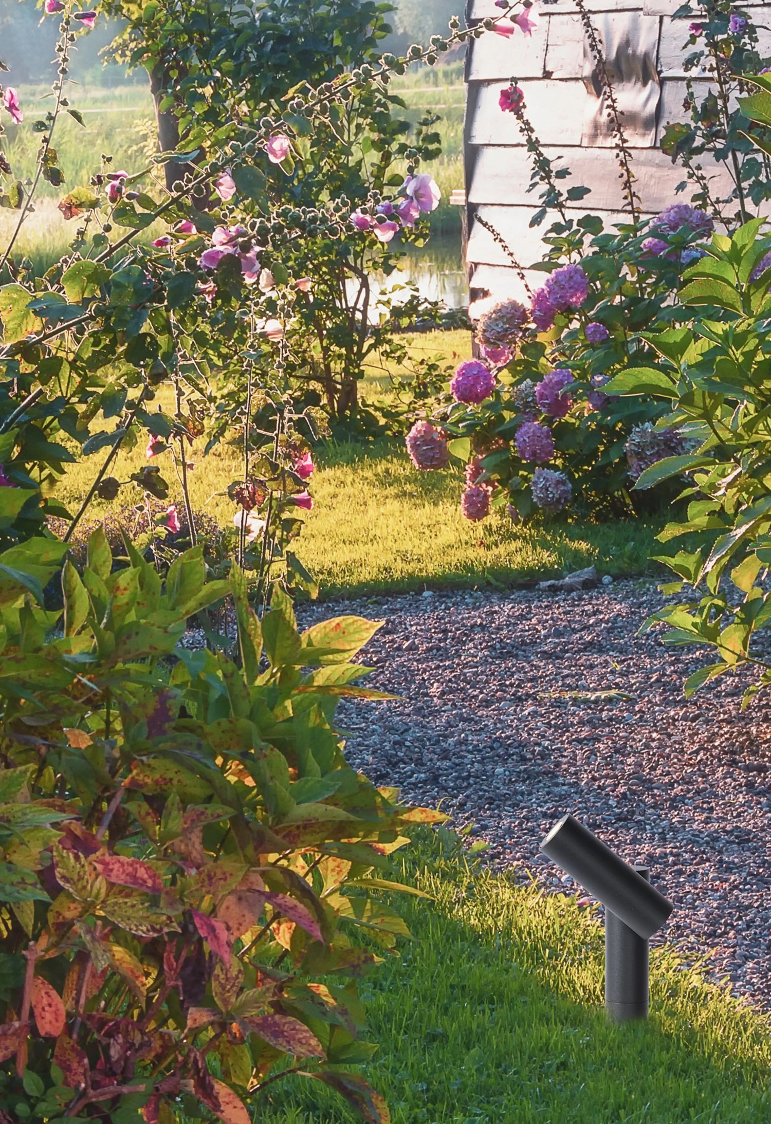 Hinterhof, Garten, Gras, Bewuchs, Topfpflanze