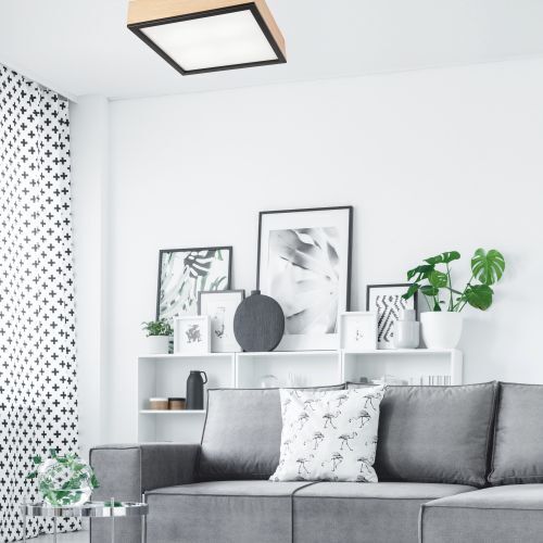 Wohnzimmer, Innenarchitektur, Inneneinrichtung, Couch, Pflanze