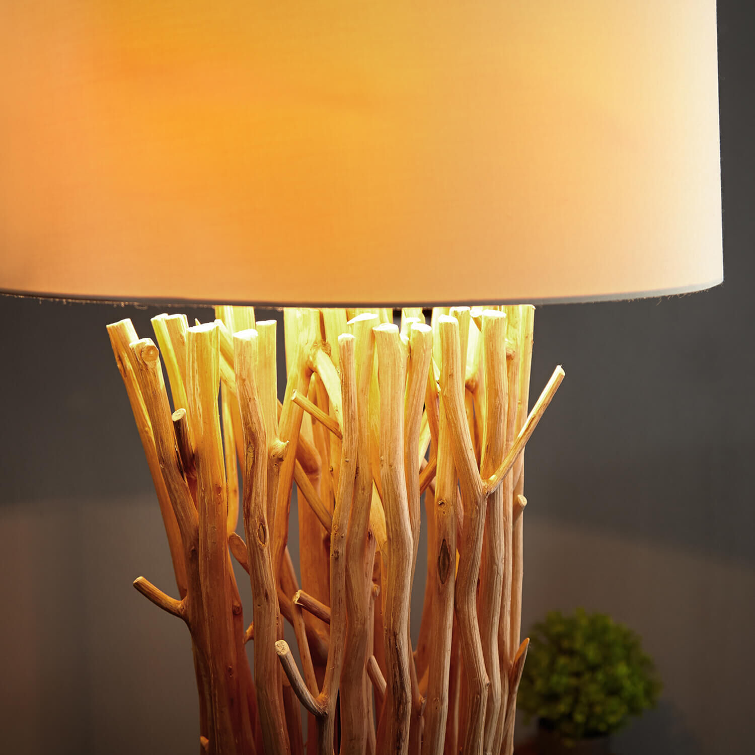 Eindrucksvolle Stehleuchte Treibholz 175 cm Modern Lampe, Lampenschirm, Pflanze