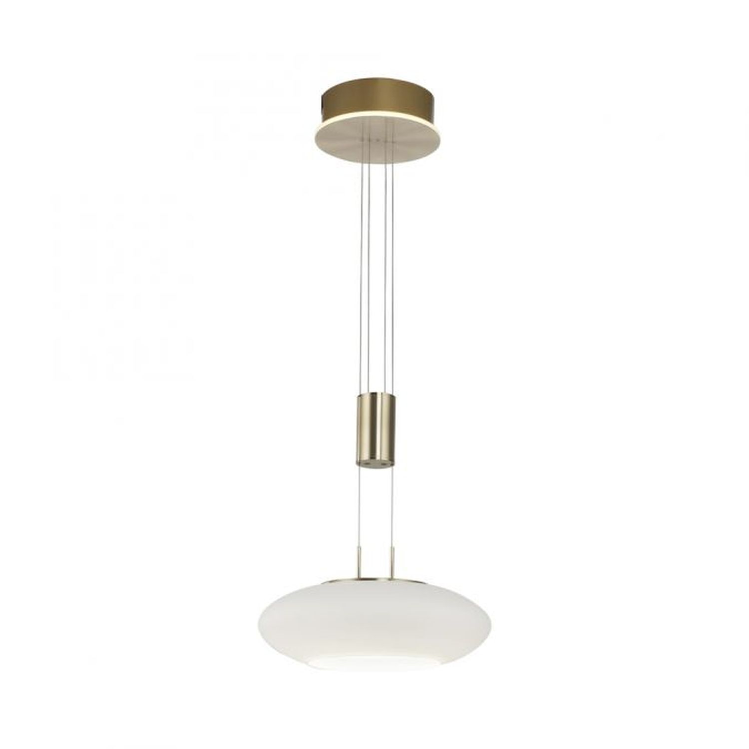 LED Hängelampe Glas in Messing dimmbar Fernbedienung