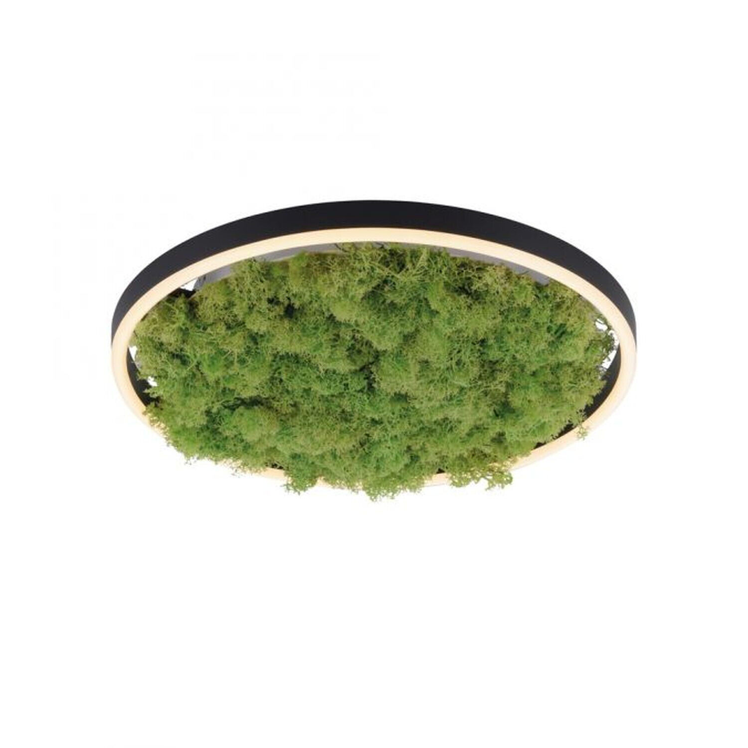 LED Deckenlampe Moos Schwarz 3000 K 2650 lm dimmbar Pflanzenwuchs, Land, Baum, Wald, Moos