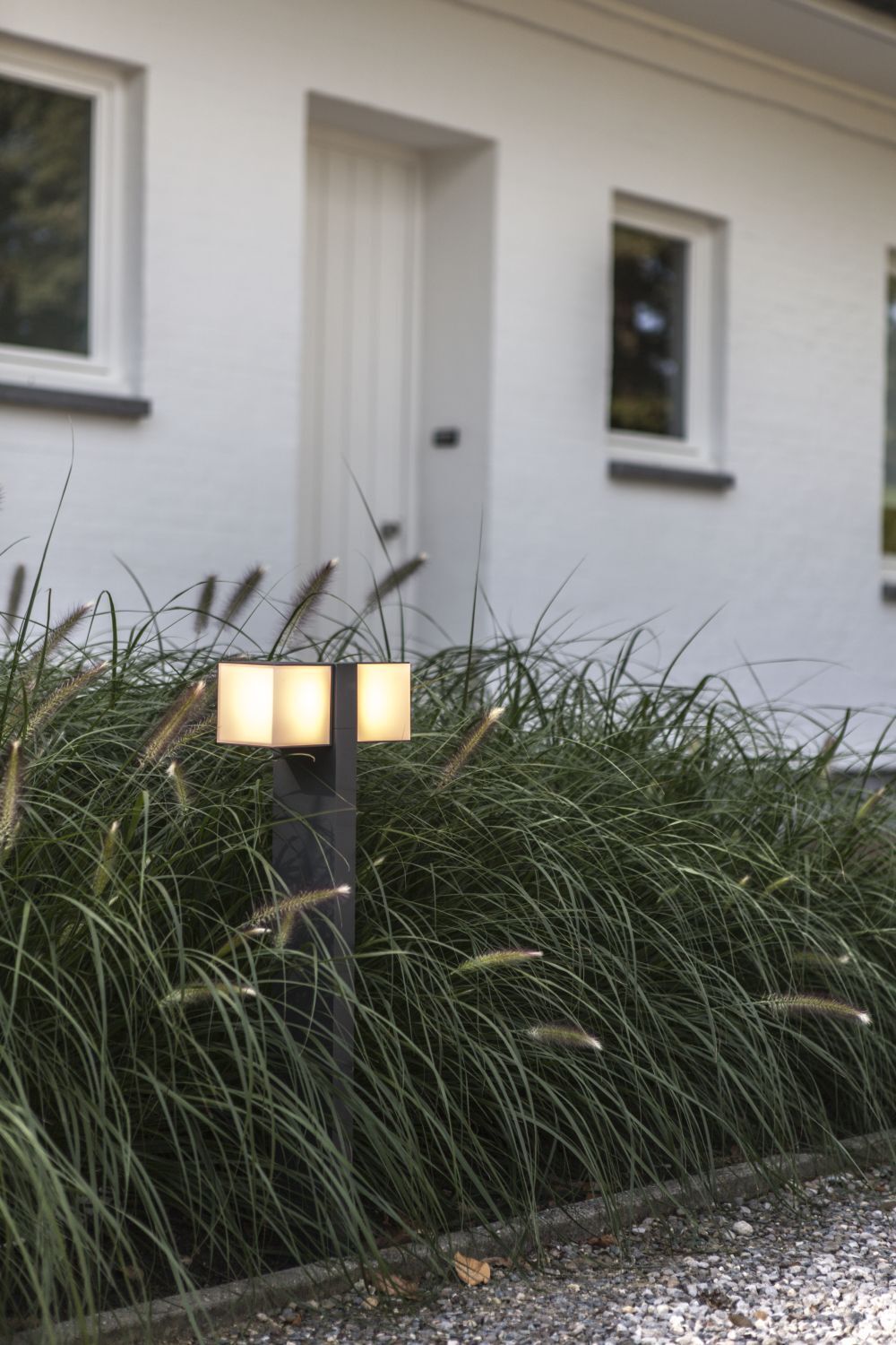 Lampe, Gras, Pflanze, Vegetation