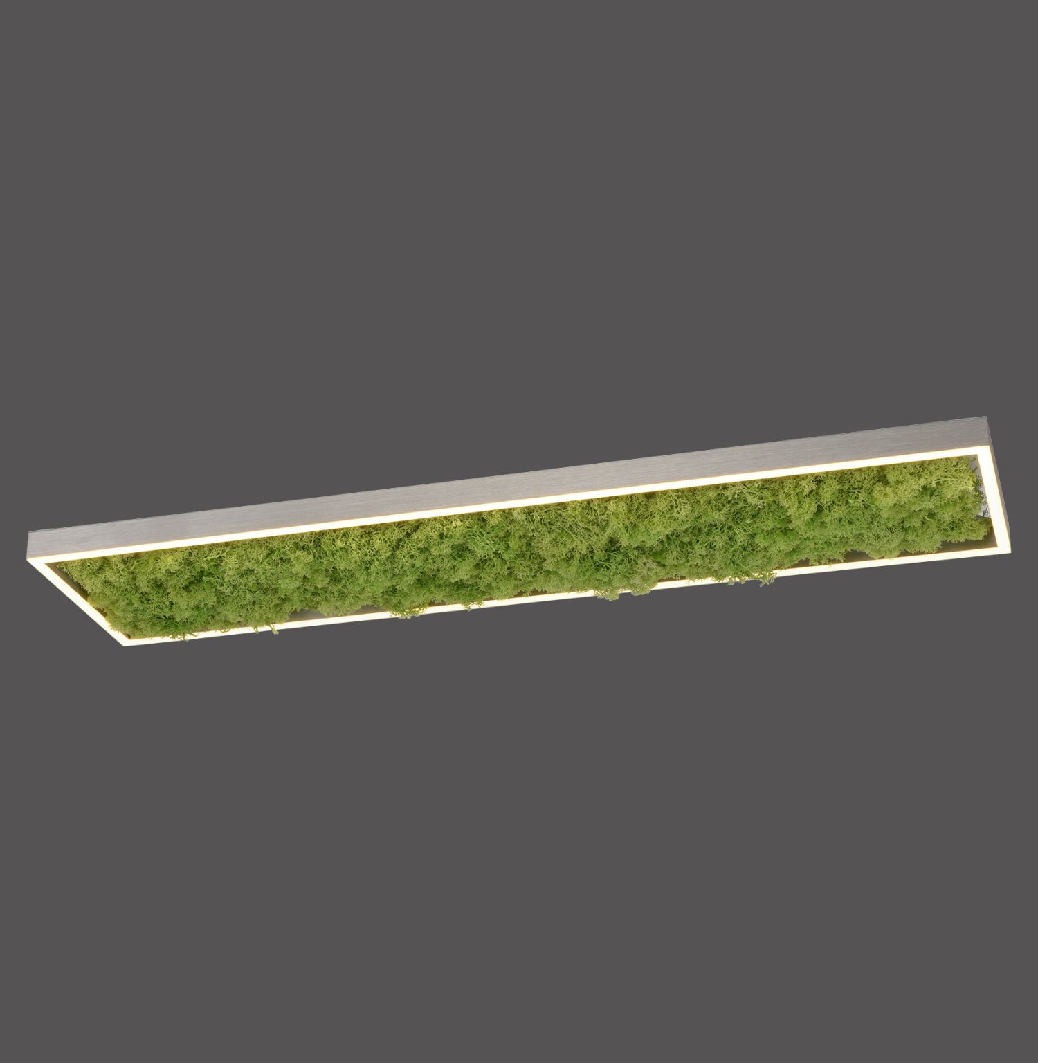 LED Deckenleuchte Moos L:100 cm 3000 K 3550 lm aus Moos Land, Natur, Draußen, Gras, Pflanze