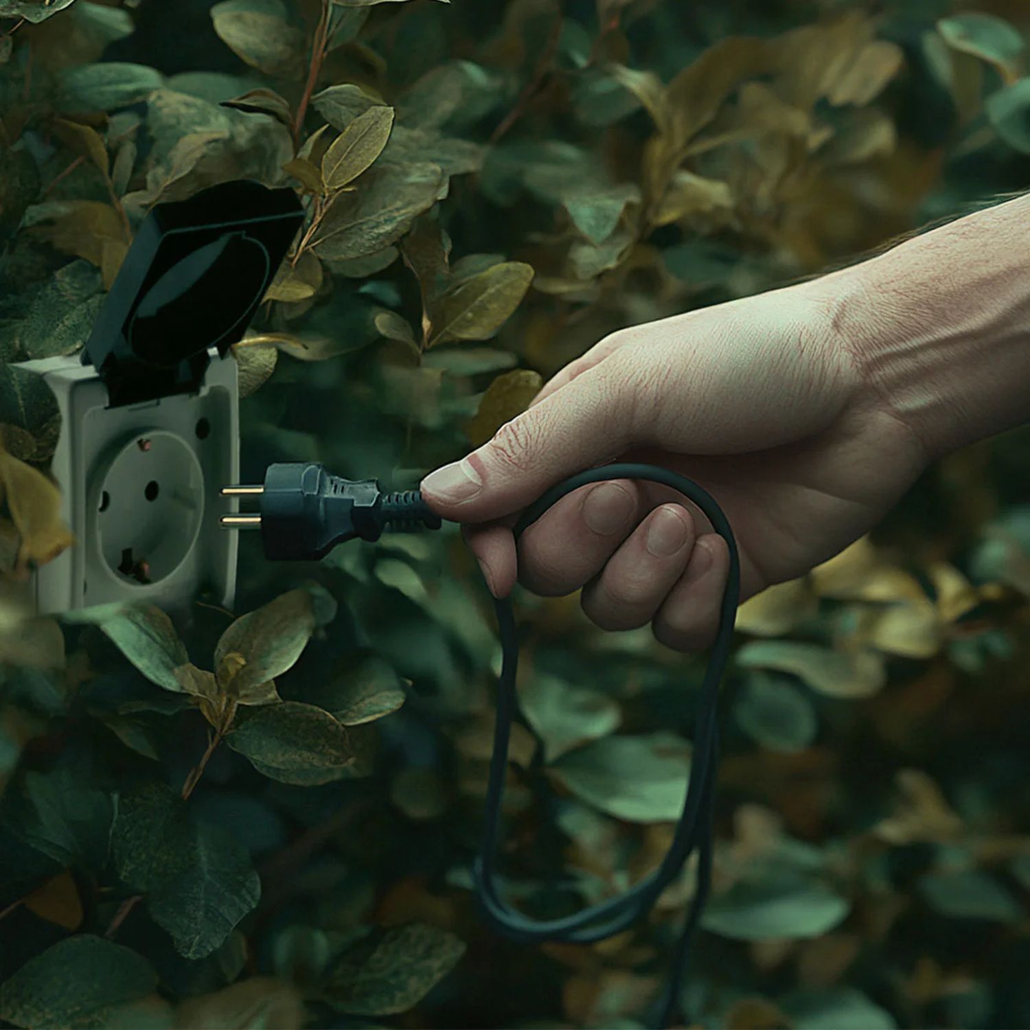 Adapter, Elektronik, Drinnen, Innenarchitektur, Garten