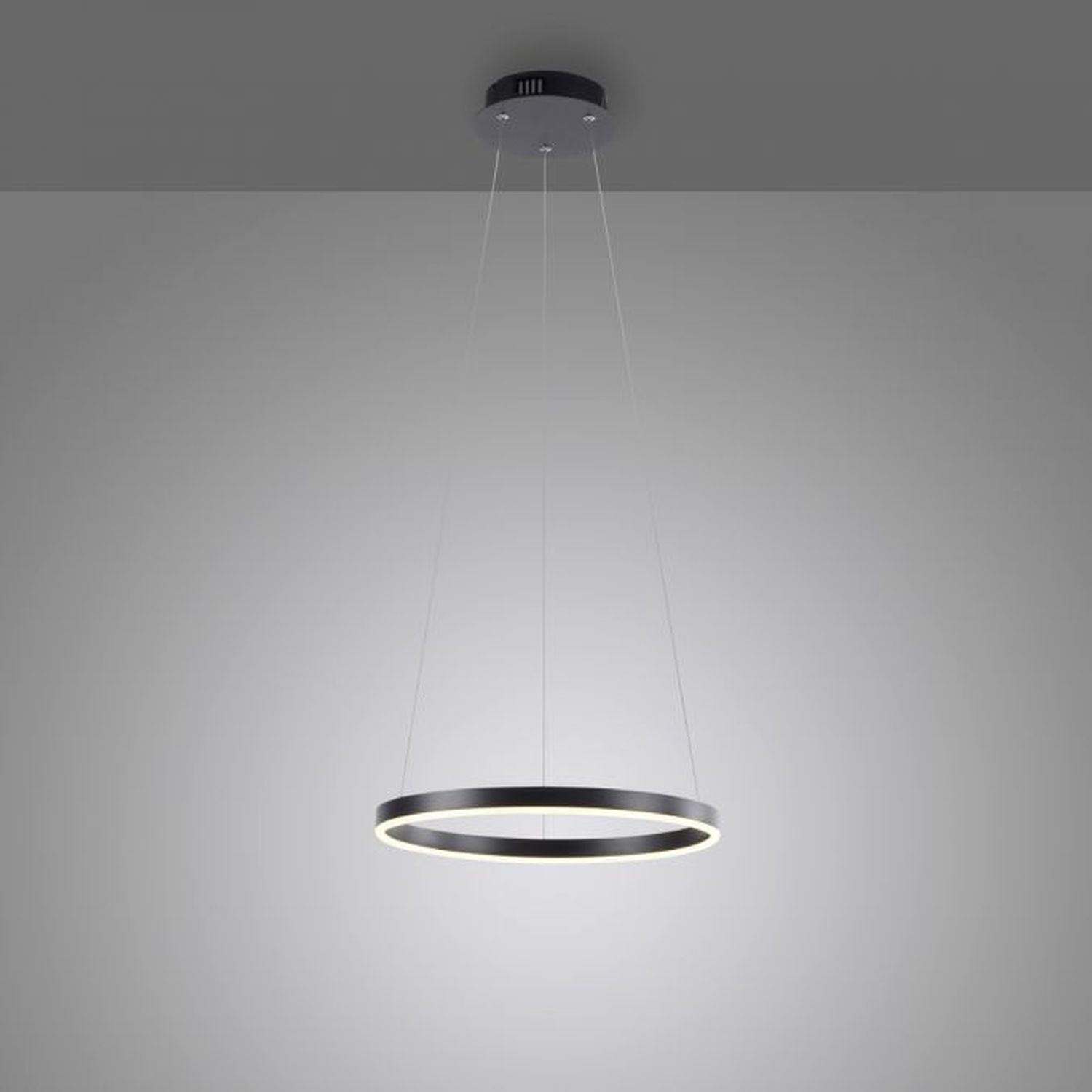 Dimmbare LED Hängelampe Anthrazit Metall Ø39,3 cm 20 W Deckenleuchte, Kronleuchter, Lampe