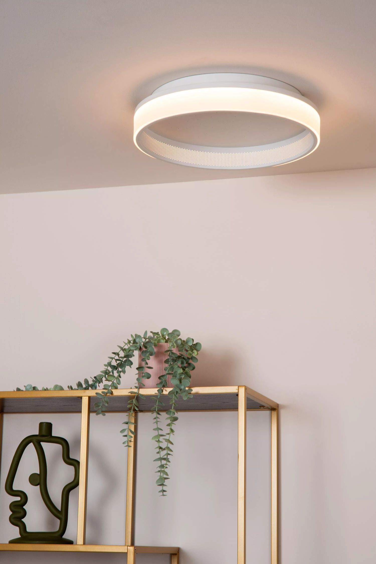 LED Deckenlampe Sternenhimmel 2500-3000 K Fernbedienung Deckenleuchte, Pflanze