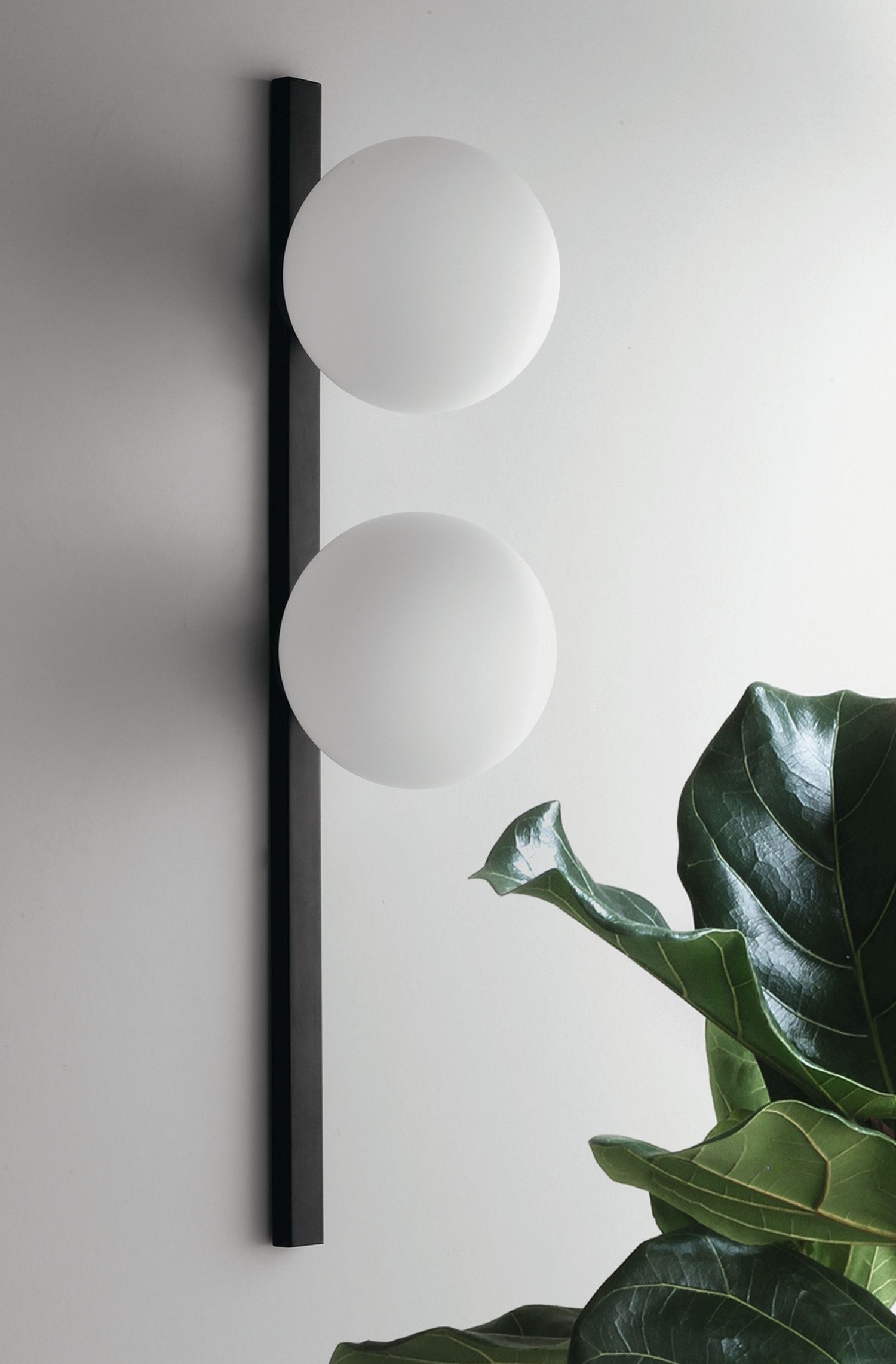 wandlampe, dekorlampe, globusleuchte, rahmenlos, pflanze