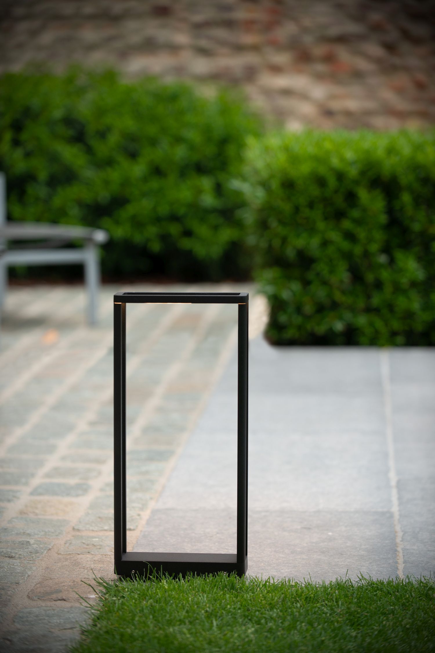 Gras, Pflanze, Fotorahmen